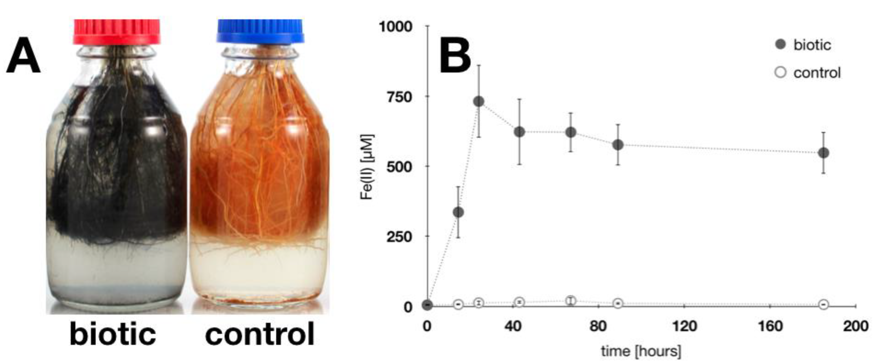 Soilsystems 04 00028 g005 Soilsystems 04 00028 g005