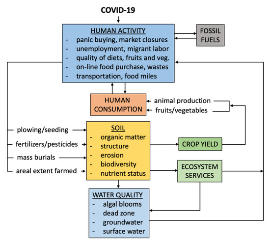 Soil Systems Free Full Text Managing Soils For Recovering From The Covid 19 Pandemic Html