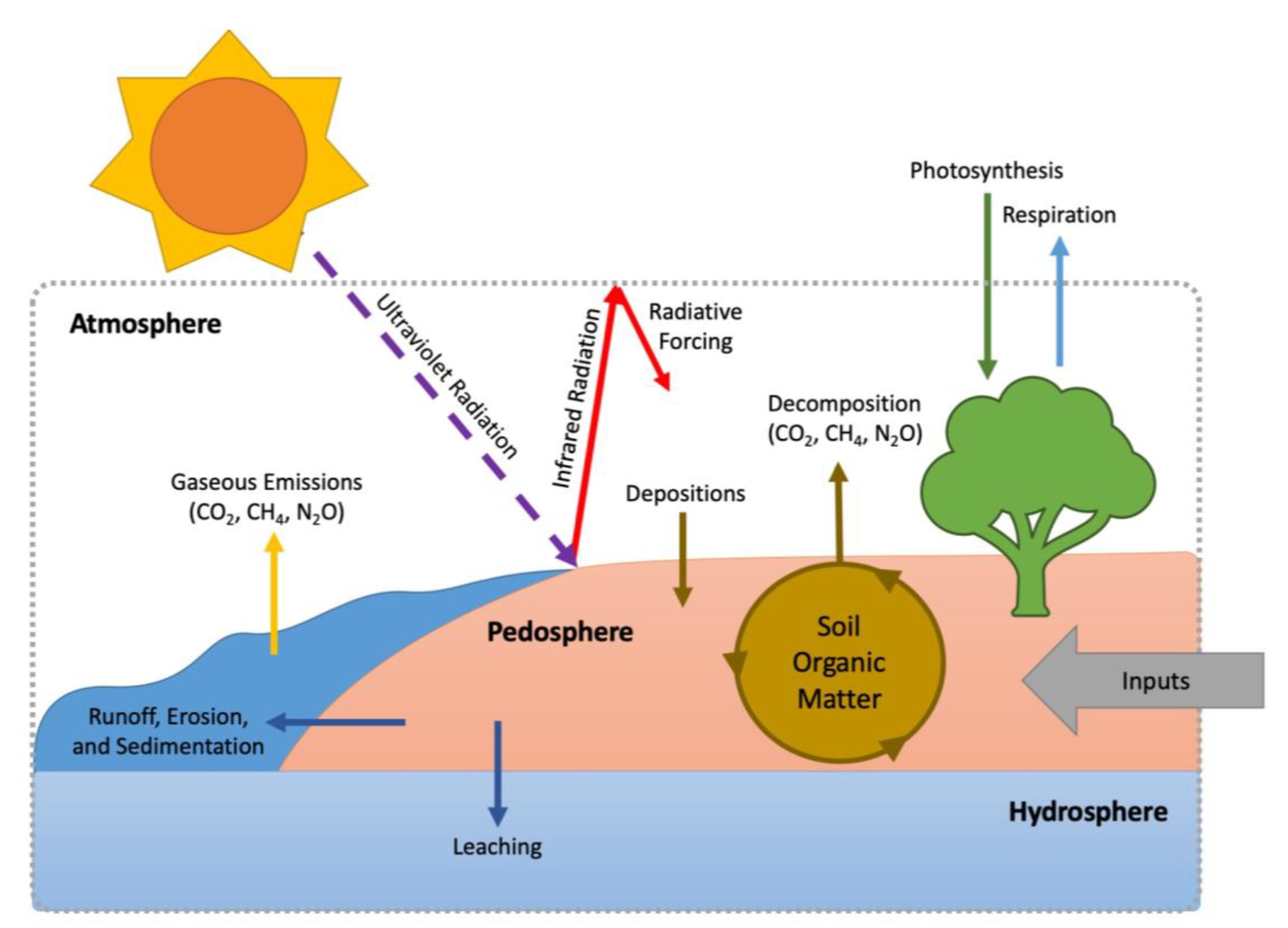 Soil Systems Free Full Text Managing Soils For Recovering From The Covid 19 Pandemic Html Soil Systems Free Full Text Managing Soils For Recovering From The Covid 19 Pandemic Html