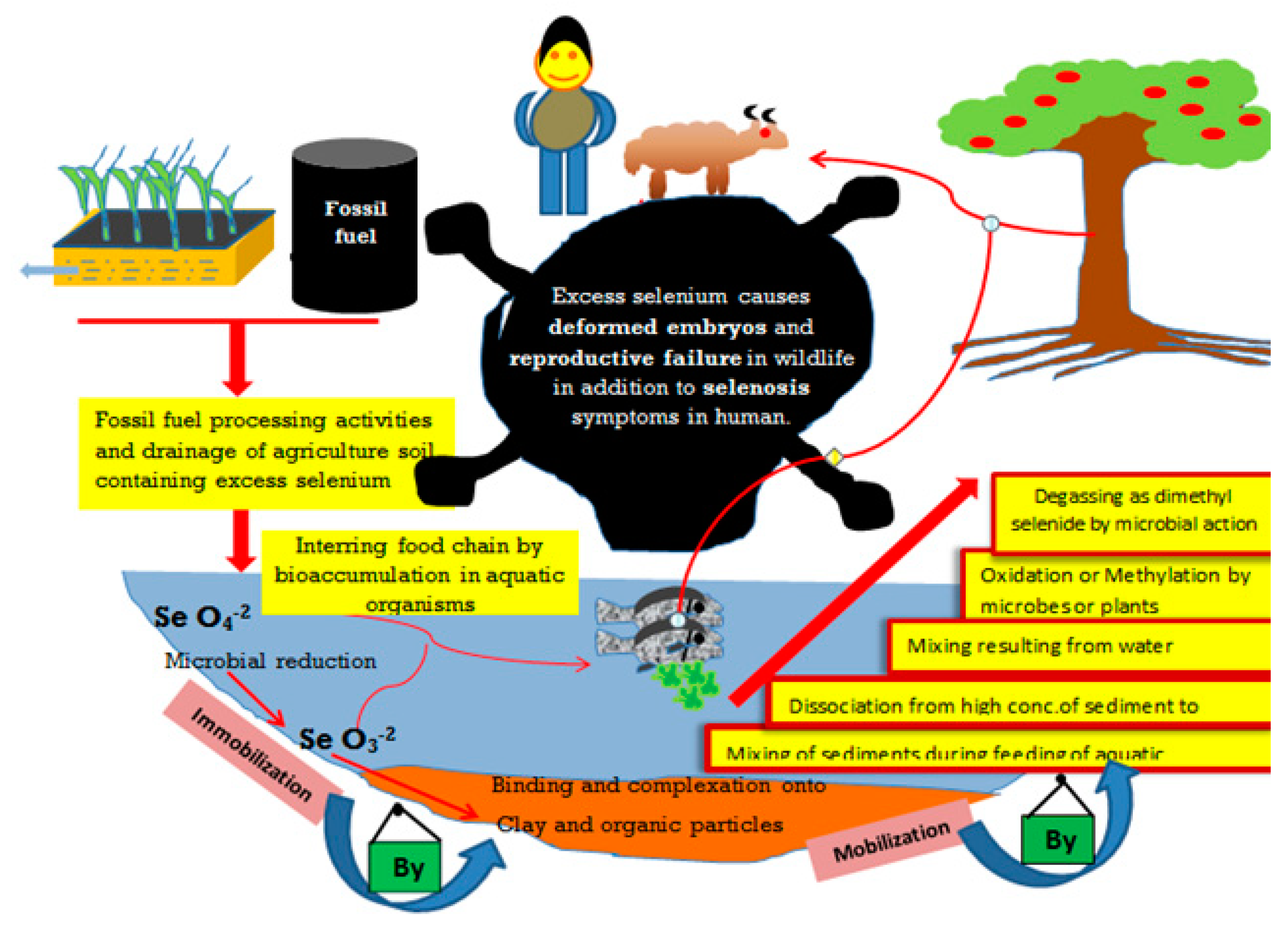 Soilsystems 04 00057 g002