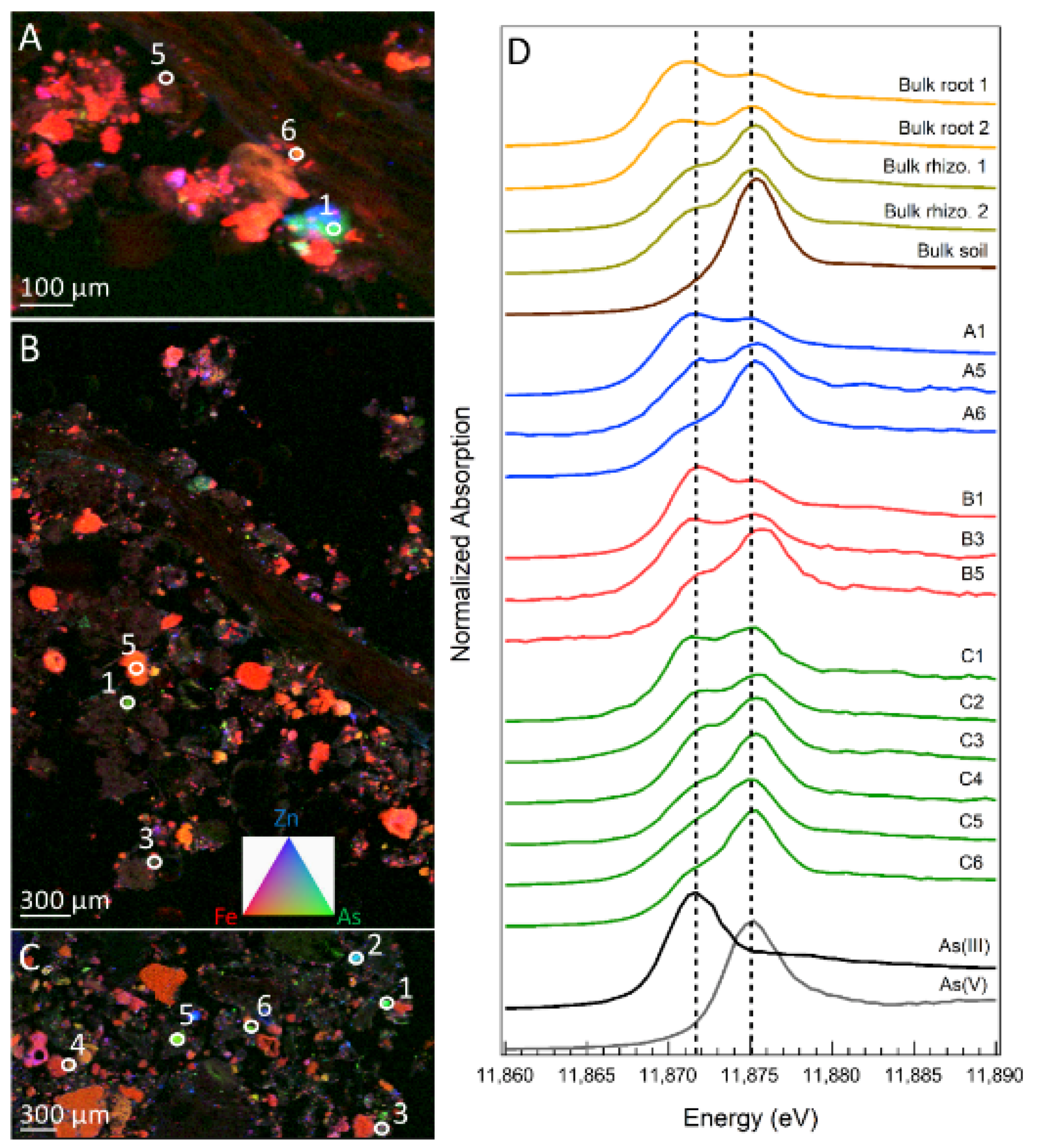 Soilsystems 04 00071 g003