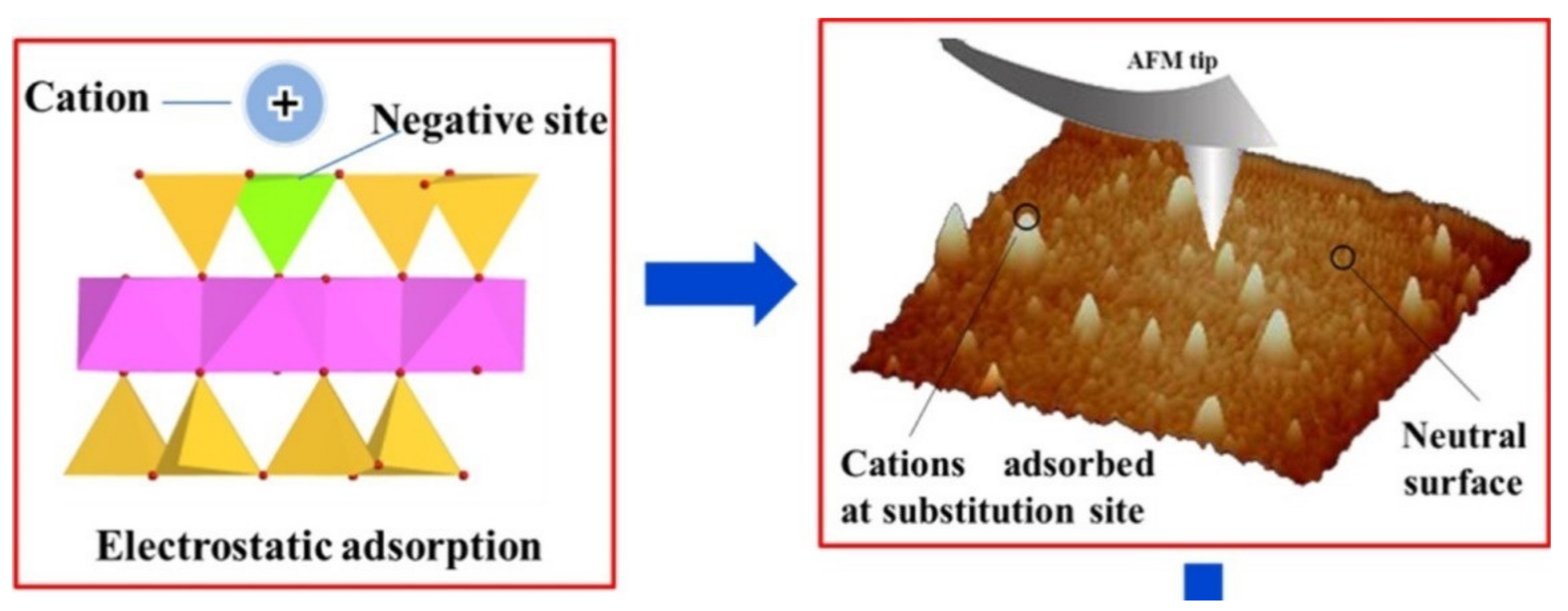 Soilsystems 05 00013 g003