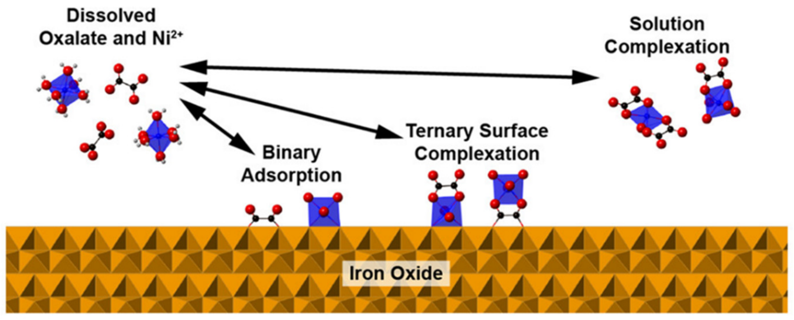 Soilsystems 05 00013 g008