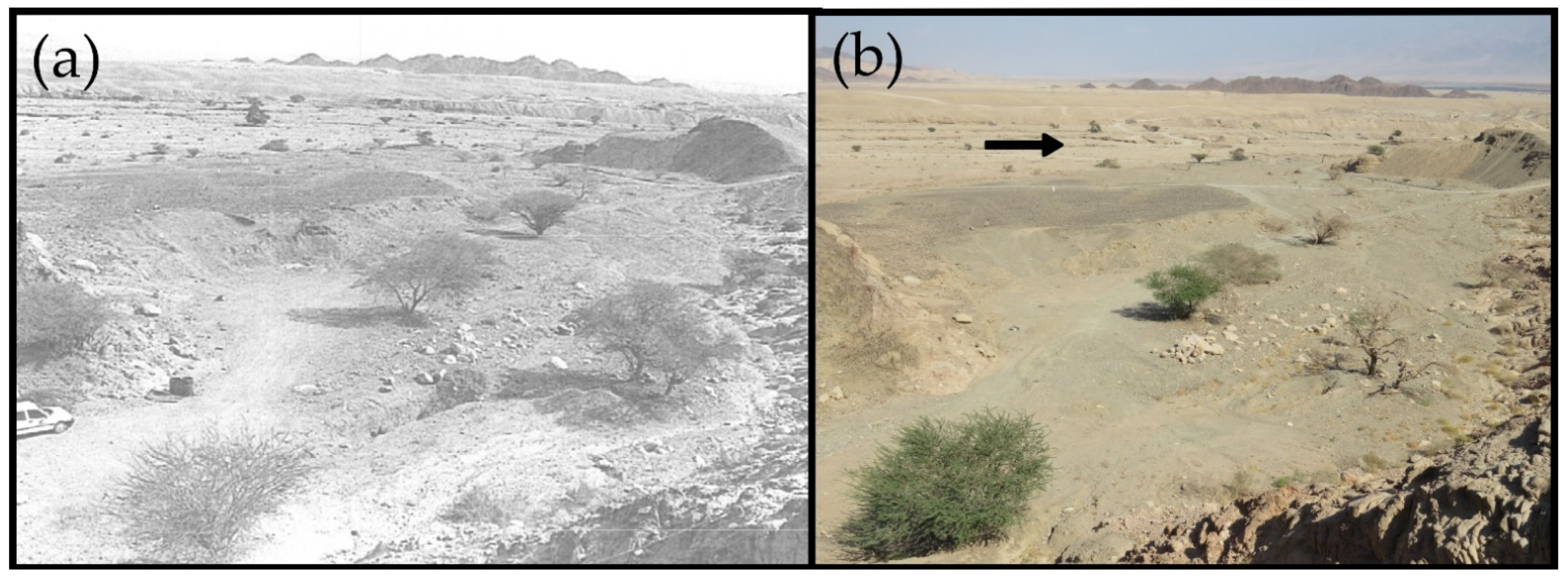 Soilsystems 05 00023 g002 Soilsystems 05 00023 g002