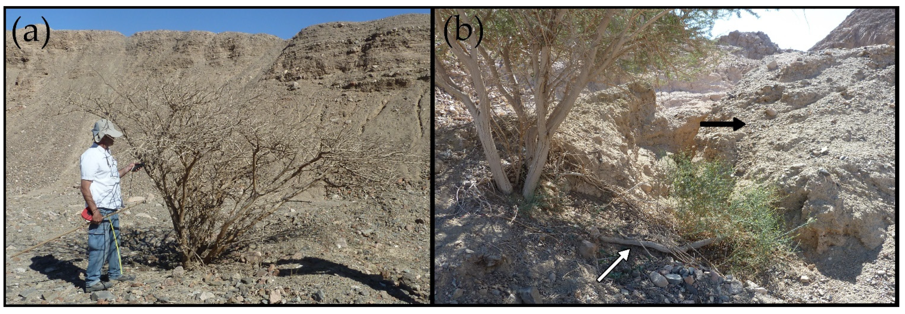 Soilsystems 05 00023 g005 Soilsystems 05 00023 g005