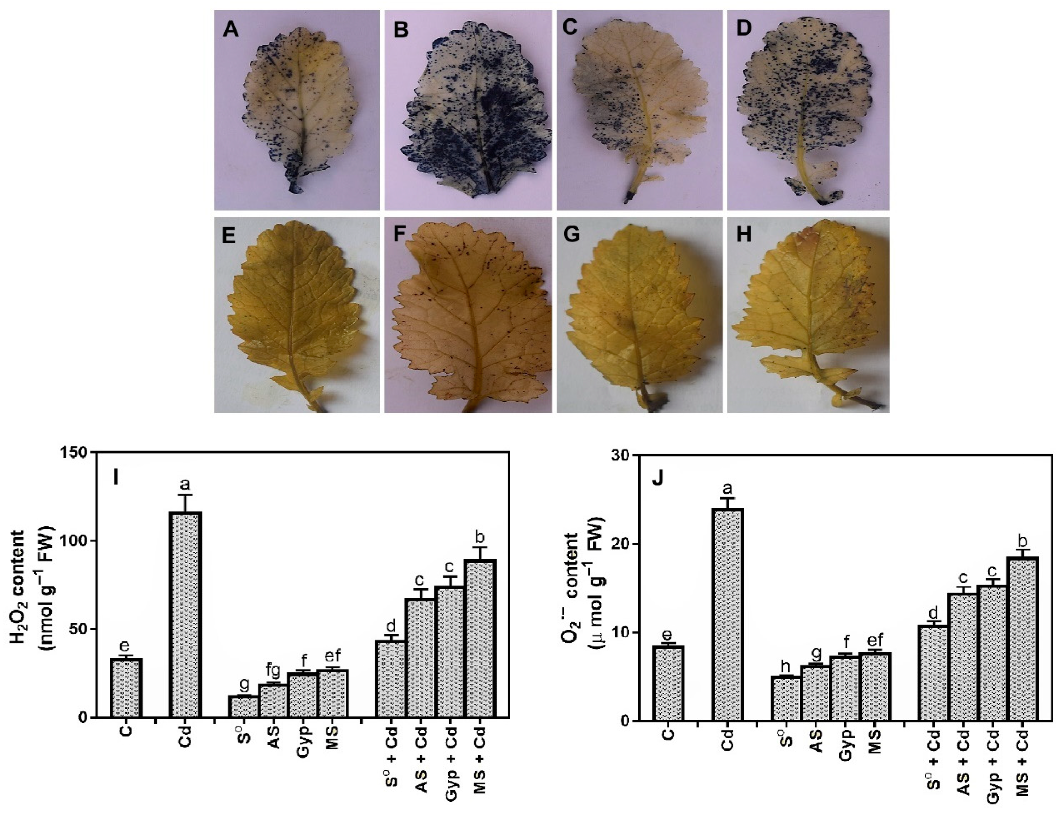 Soilsystems 05 00029 g004 Soilsystems 05 00029 g004