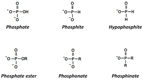 Soil Systems Free Full Text Review Of Phosphite As A Plant Nutrient And Fungicide Html