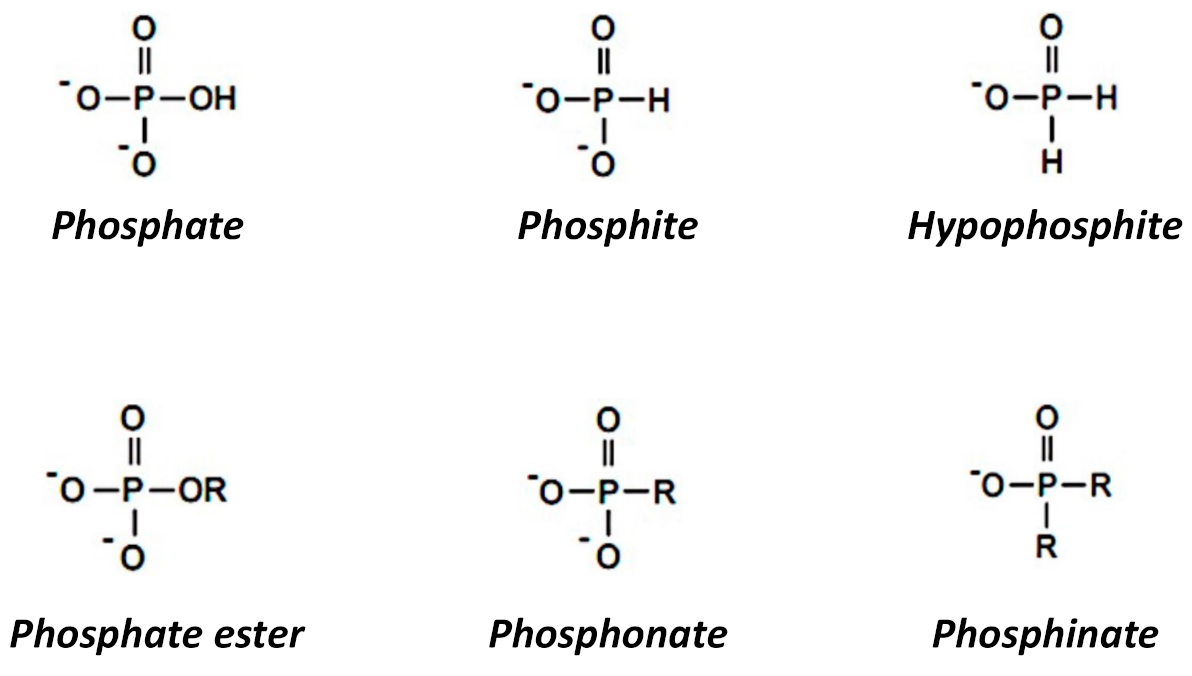 Soil Systems | Free Full-Text | Review of Phosphite as a Plant Nutrient ...