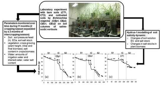 Soil Systems Free Full Text Monitoring And Modeling Of Saline Sodic Vertisol Reclamation By Echinochloa Stagnina Html