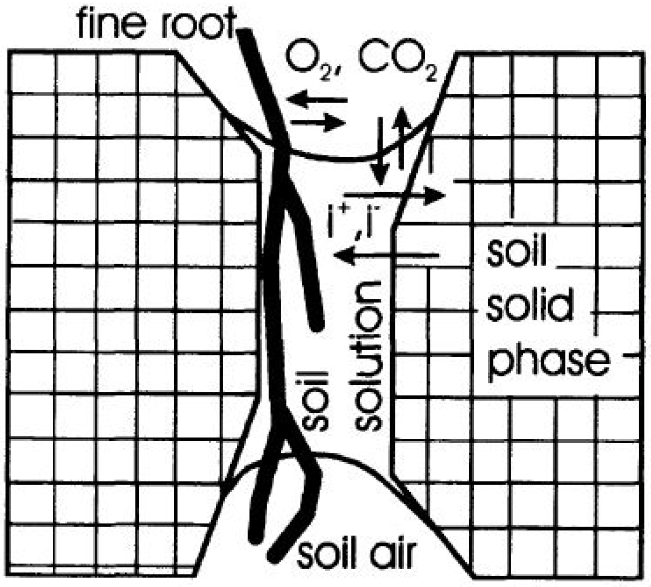 Soilsystems 06 00005 g004 Soilsystems 06 00005 g004