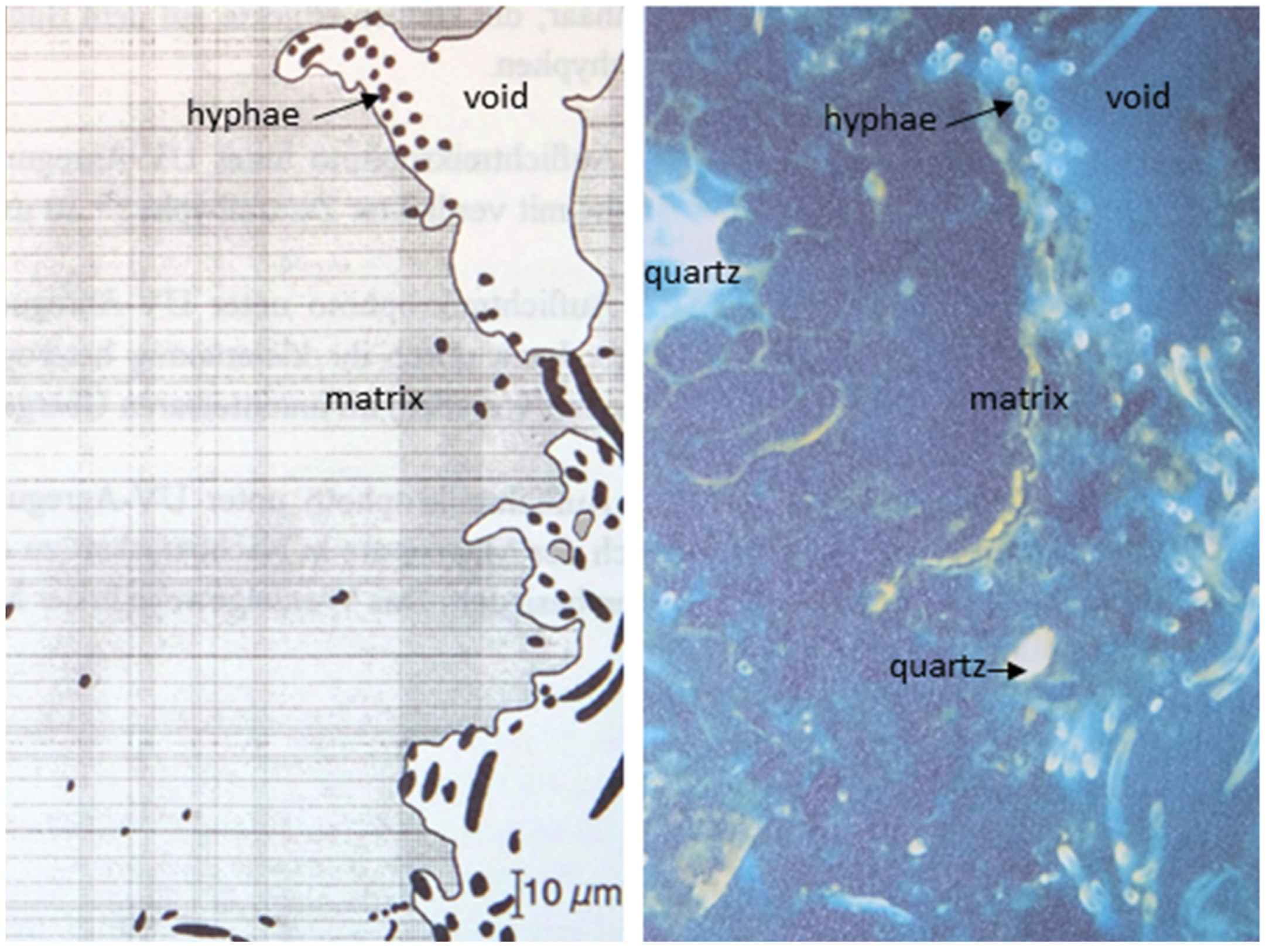 Soilsystems 06 00005 g005 Soilsystems 06 00005 g005