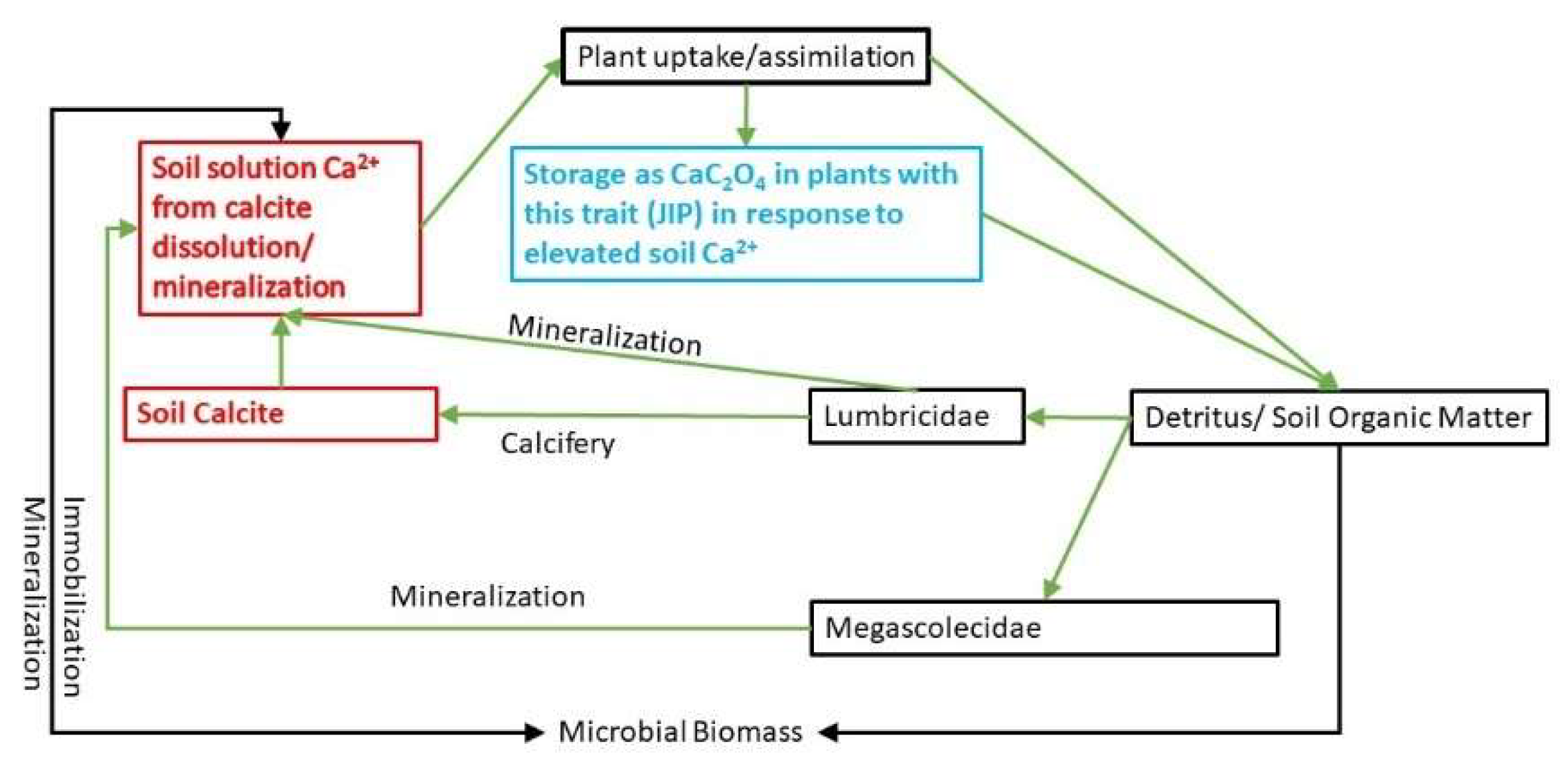 Soilsystems 06 00011 g001