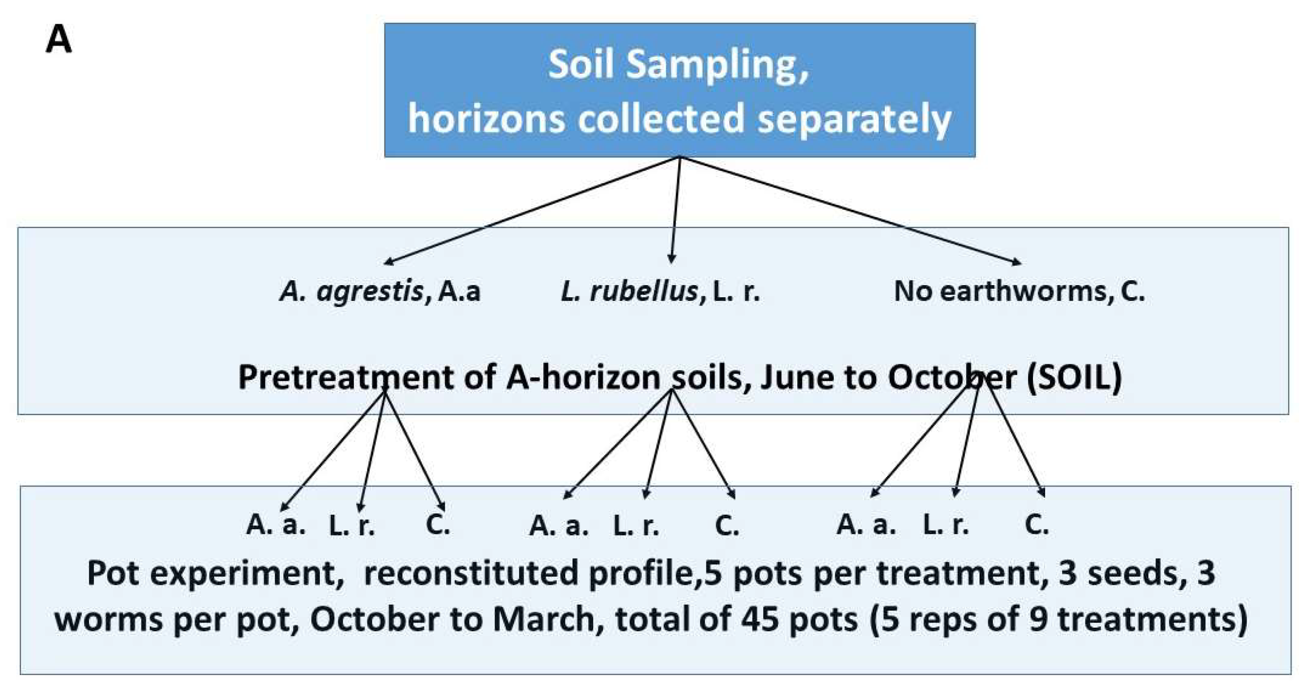 Soilsystems 06 00011 g003a