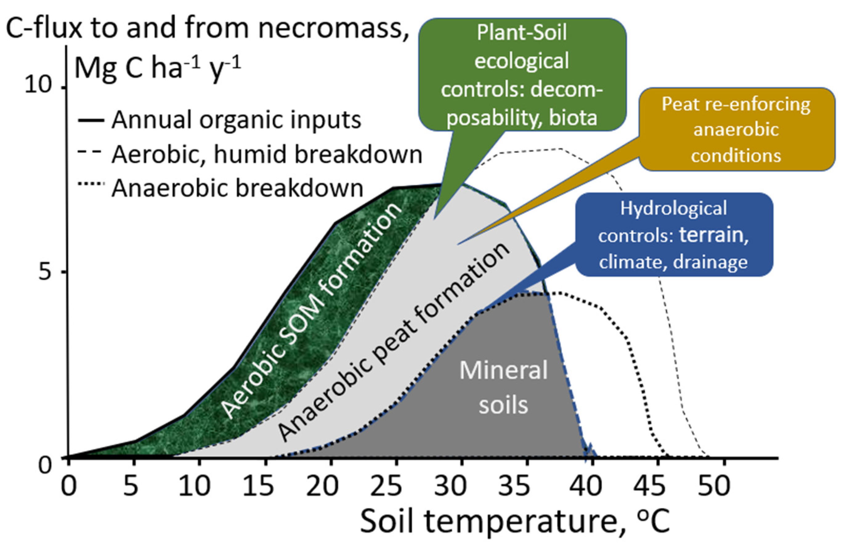 Soil Systems | Free Full-Text | Litter Wet Rubber and Fruit Agroforests: Below the Threshold for Tropical Peat Formation