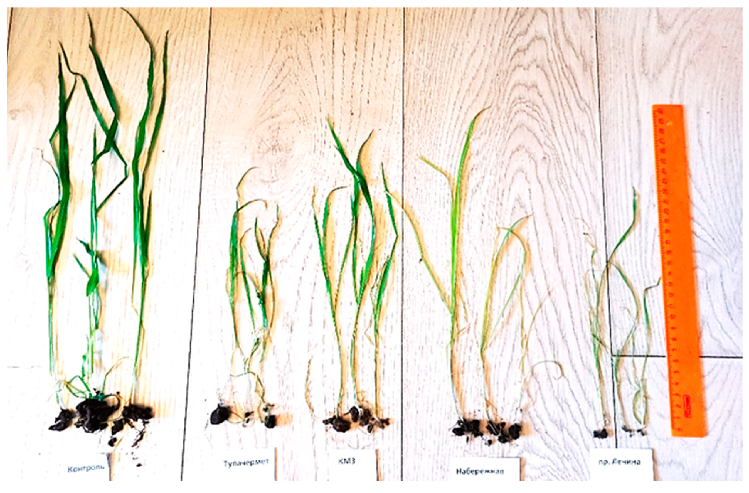 Soilsystems 06 00027 g0a1