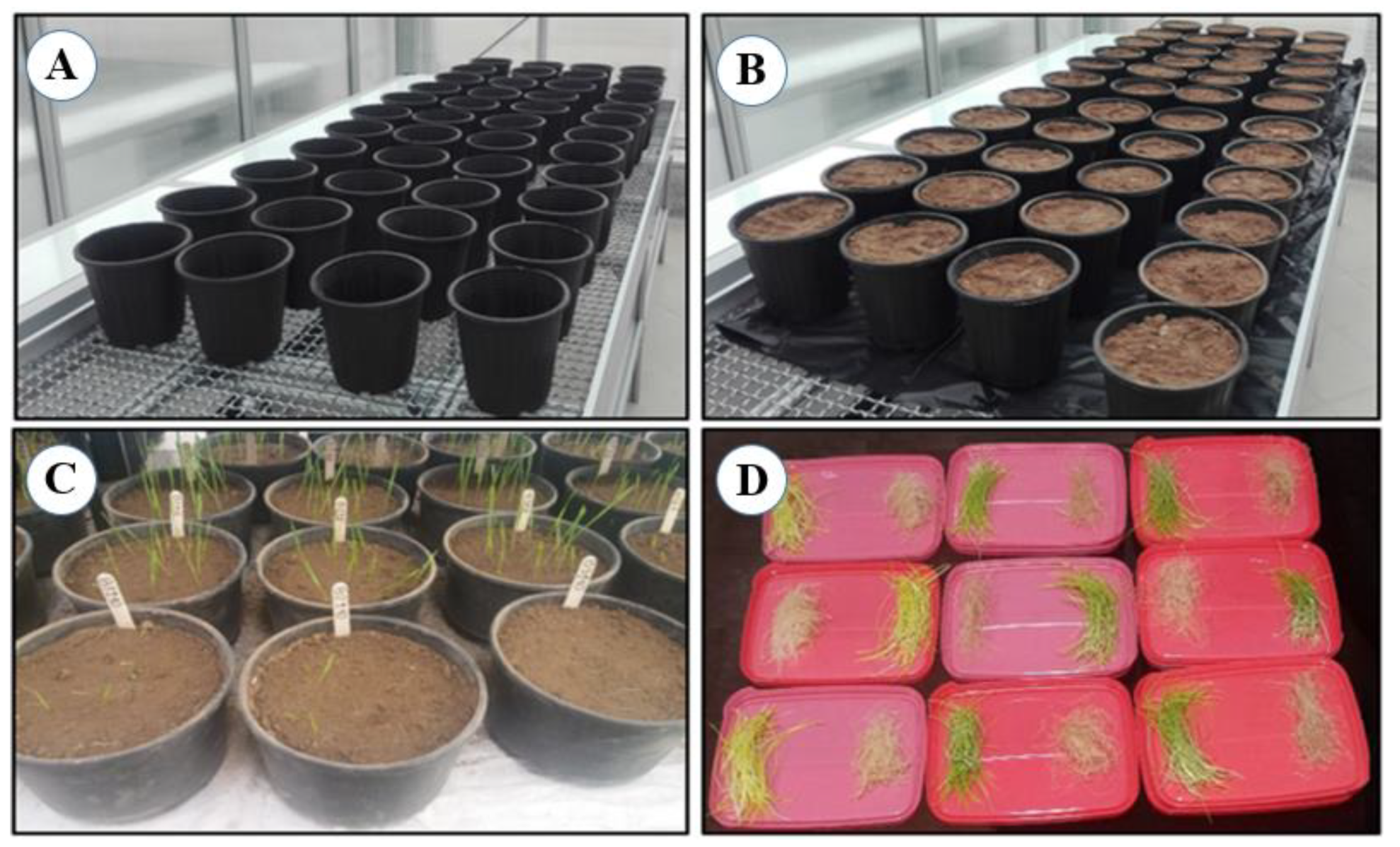 Soilsystems 06 00037 g002