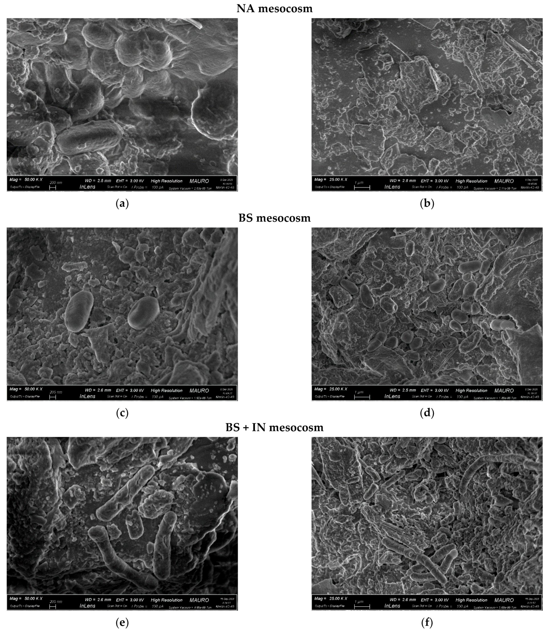 Soilsystems 06 00048 g006 550