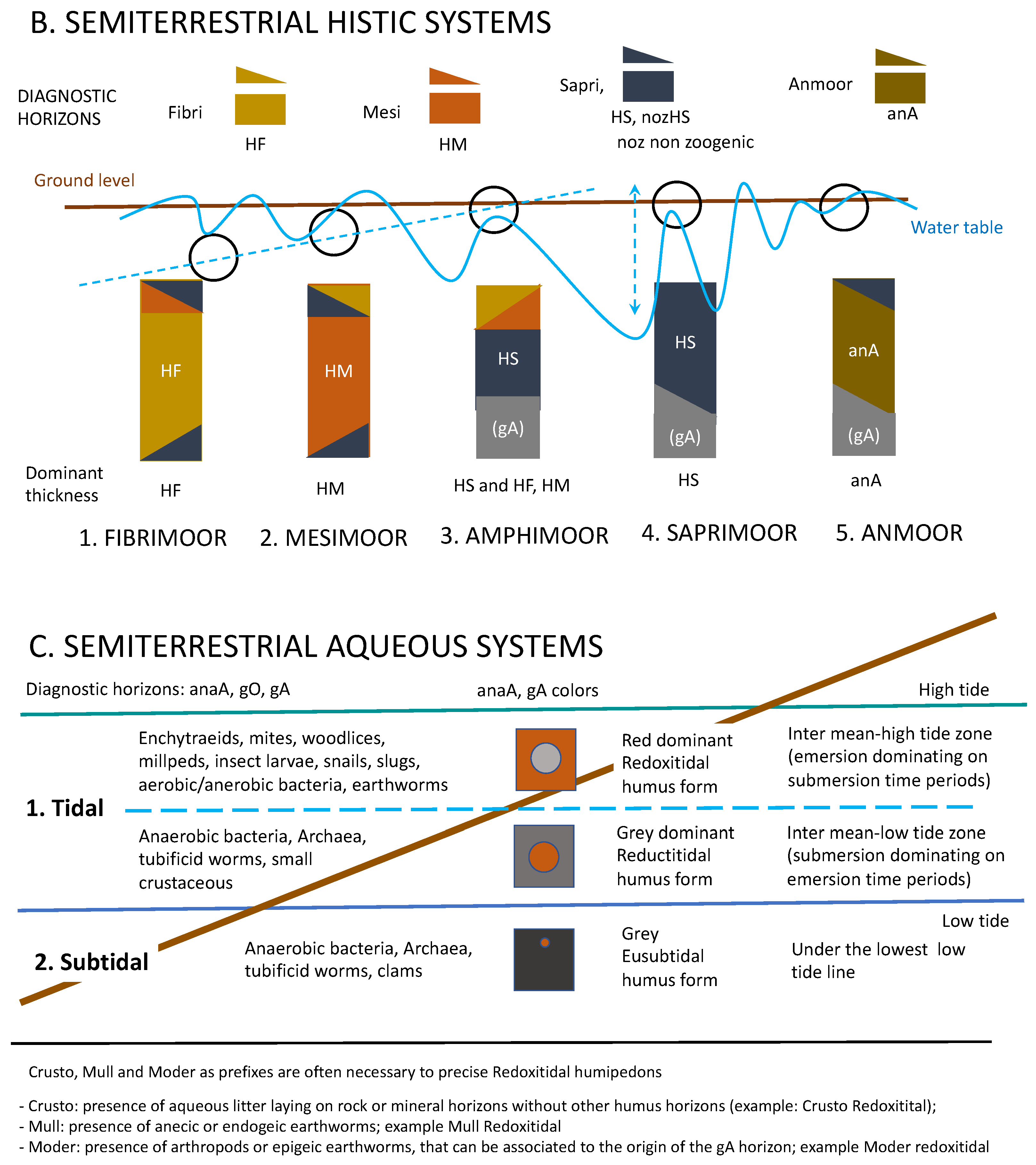 Soilsystems 06 00059 g004b