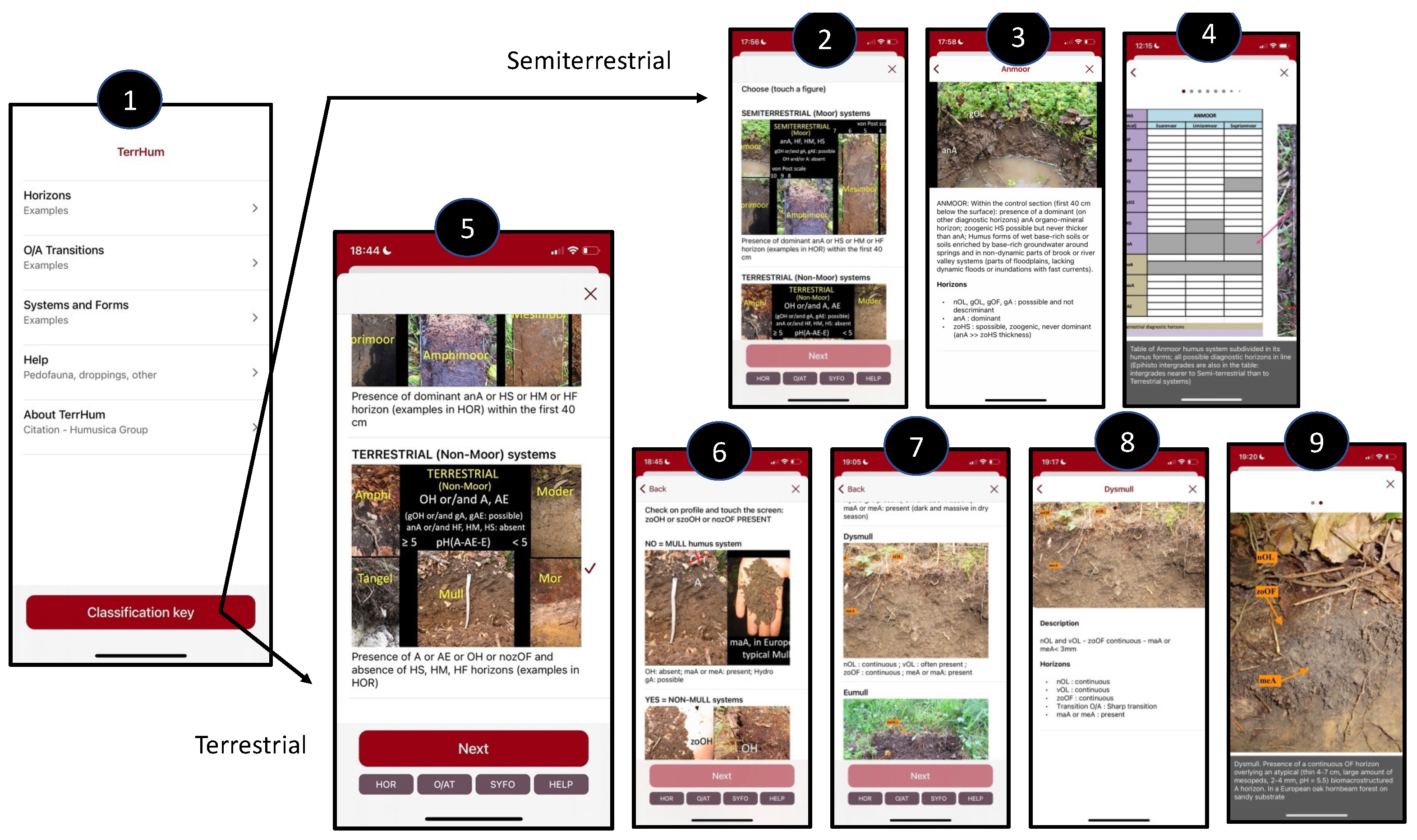 Soilsystems 06 00059 g005