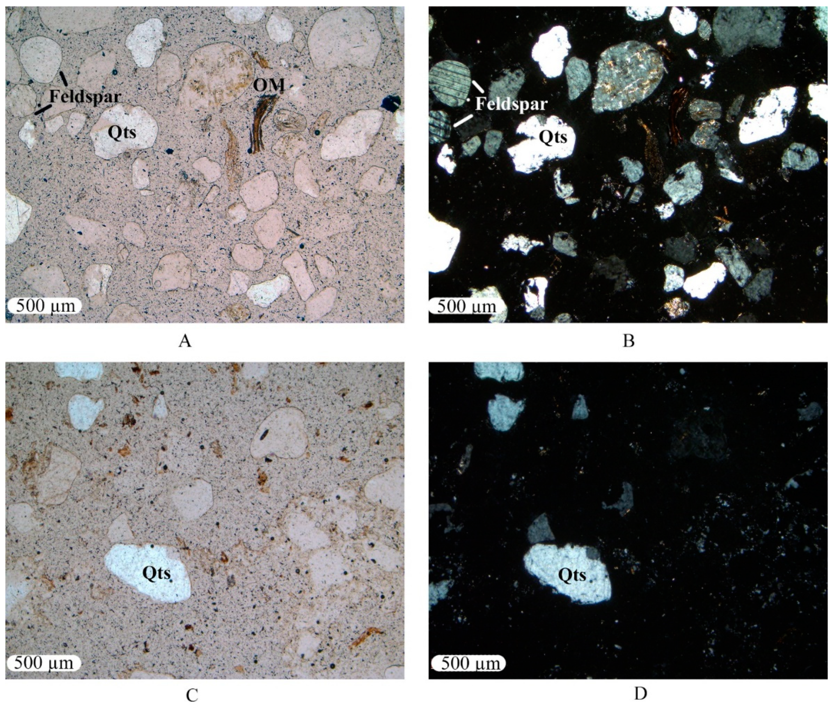 Soilsystems 06 00068 g003