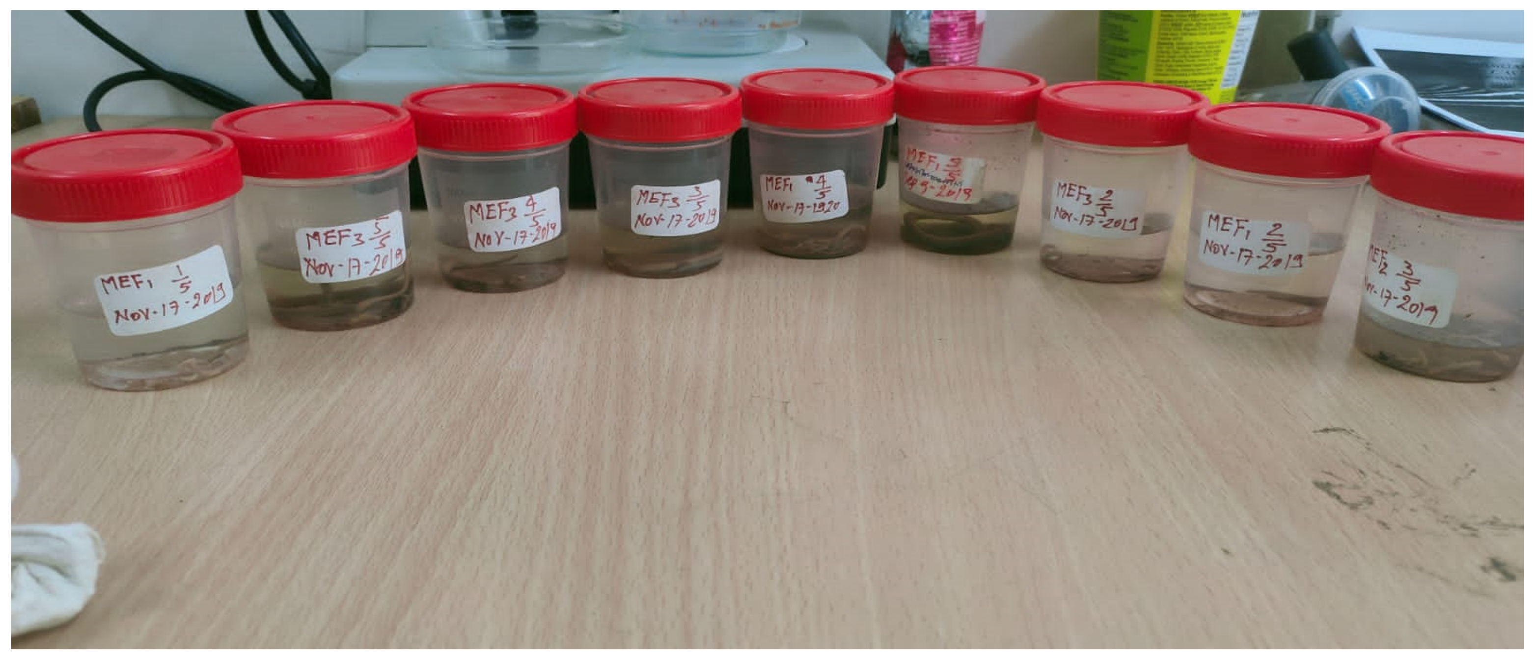 Soilsystems 06 00076 g002