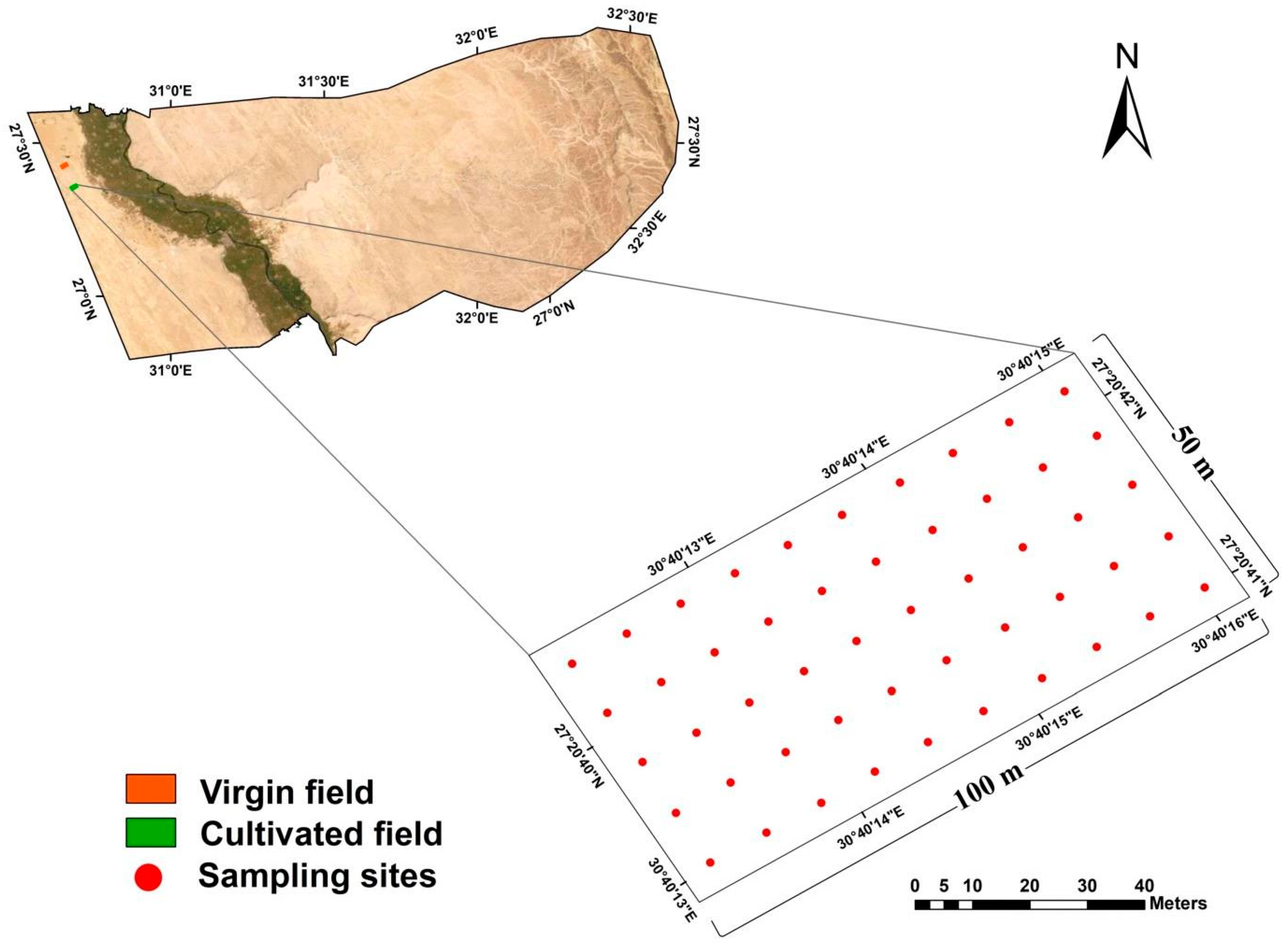 Soilsystems 06 00082 g003