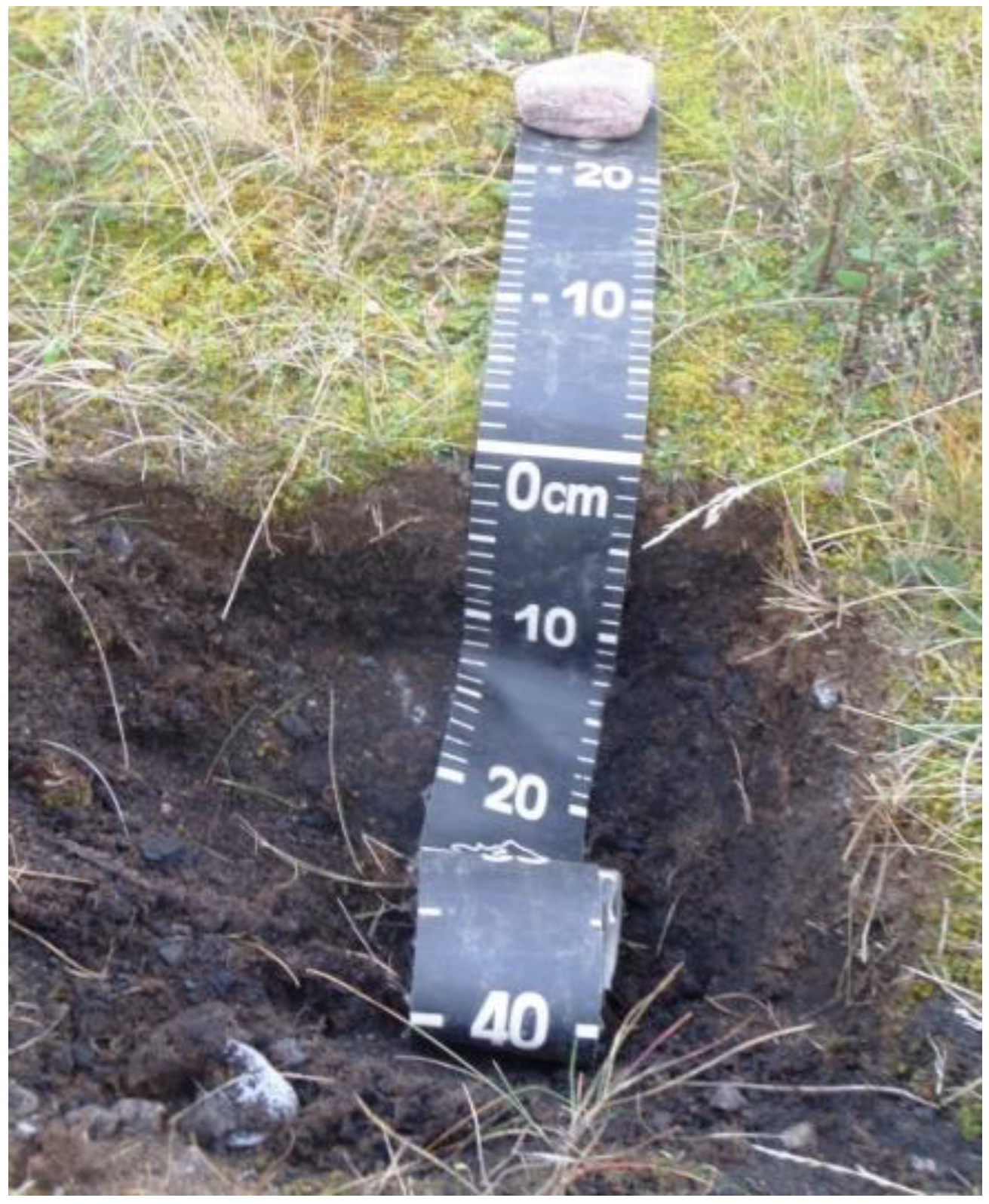 Soilsystems 06 00085 g003 Soilsystems 06 00085 g003