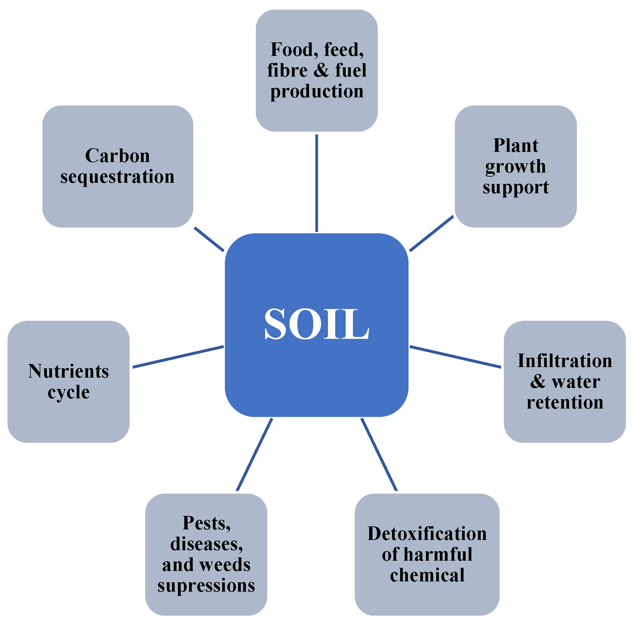 A soil productivity system reveals most Brazilian agricultural lands are  below their maximum potential