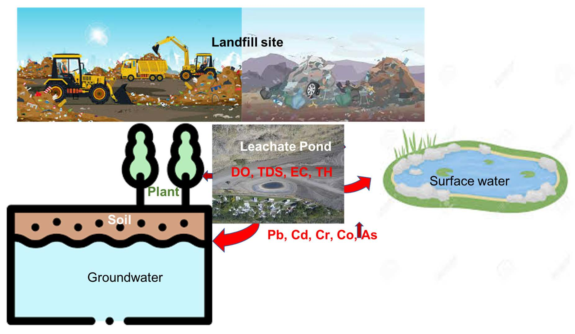 Soil Systems Free FullText Impacts of Landfill Leachate on the