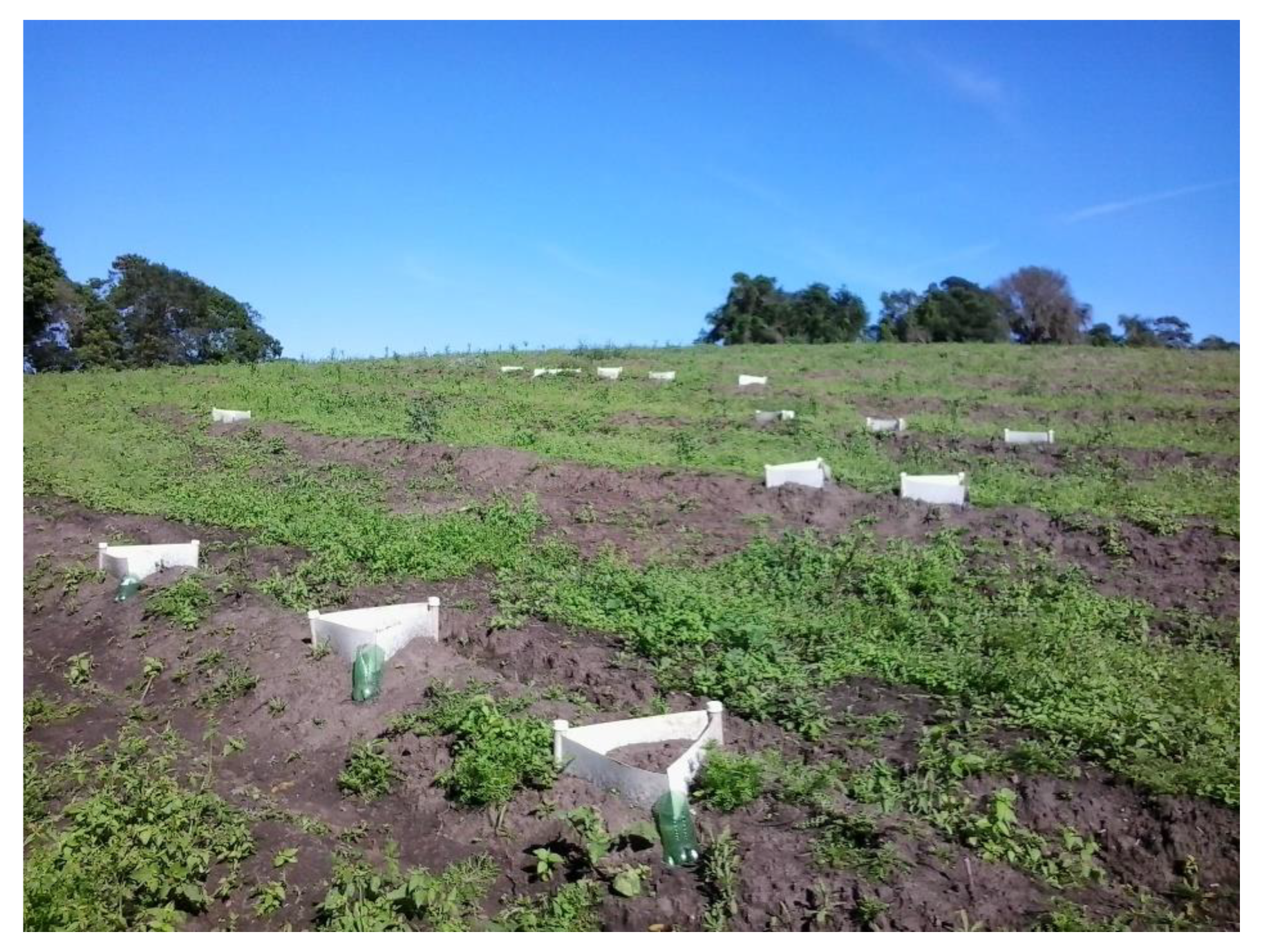 Soilsystems 07 00008 g003 Soilsystems 07 00008 g003