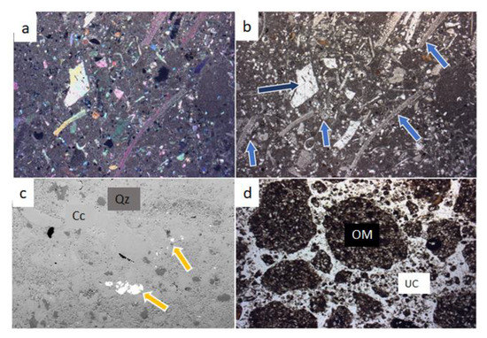 Natural and Anthropogenic Sources of Cadmium in Cacao Crop Soils of ...