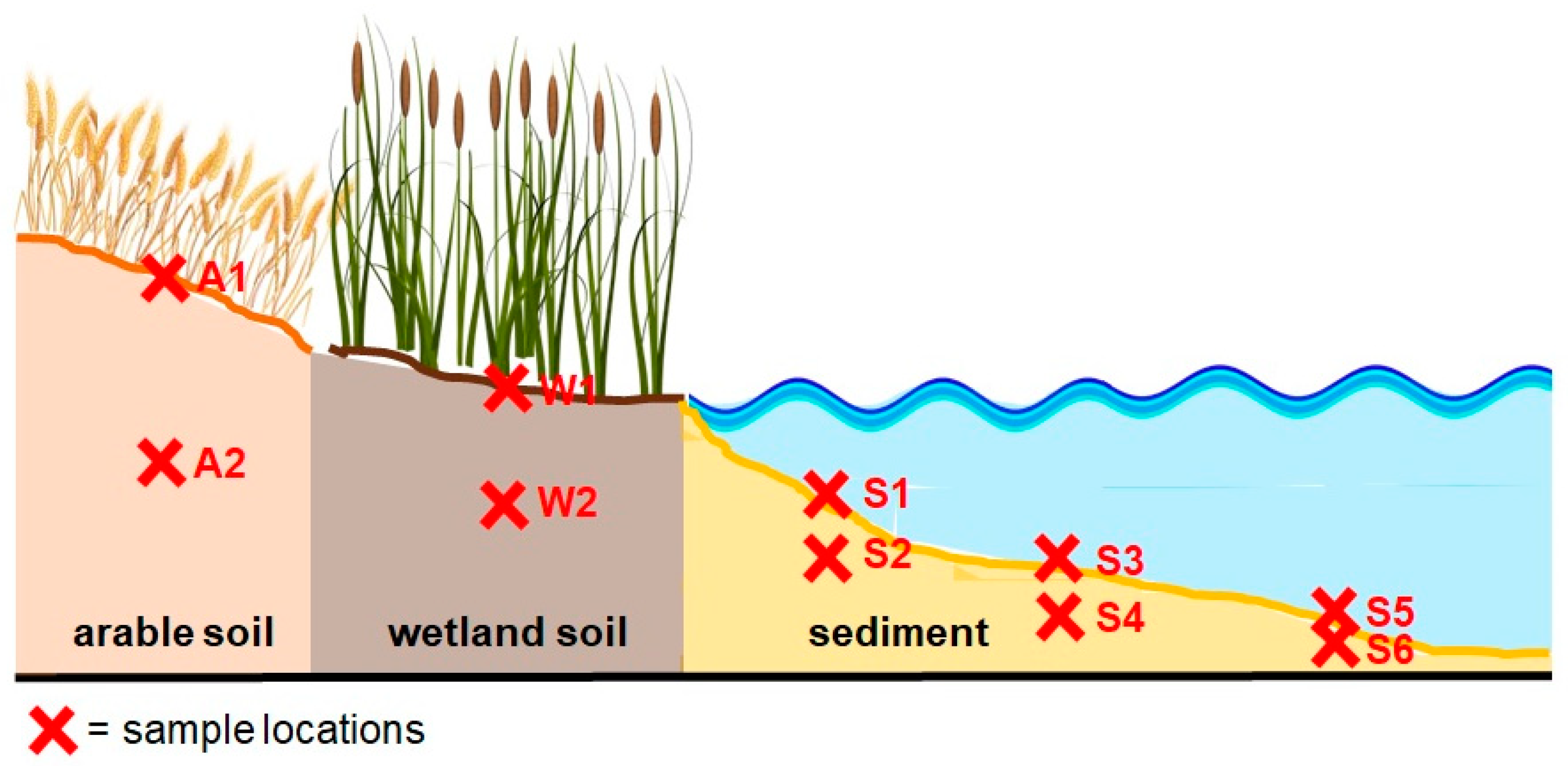 Soilsystems 07 00015 g001