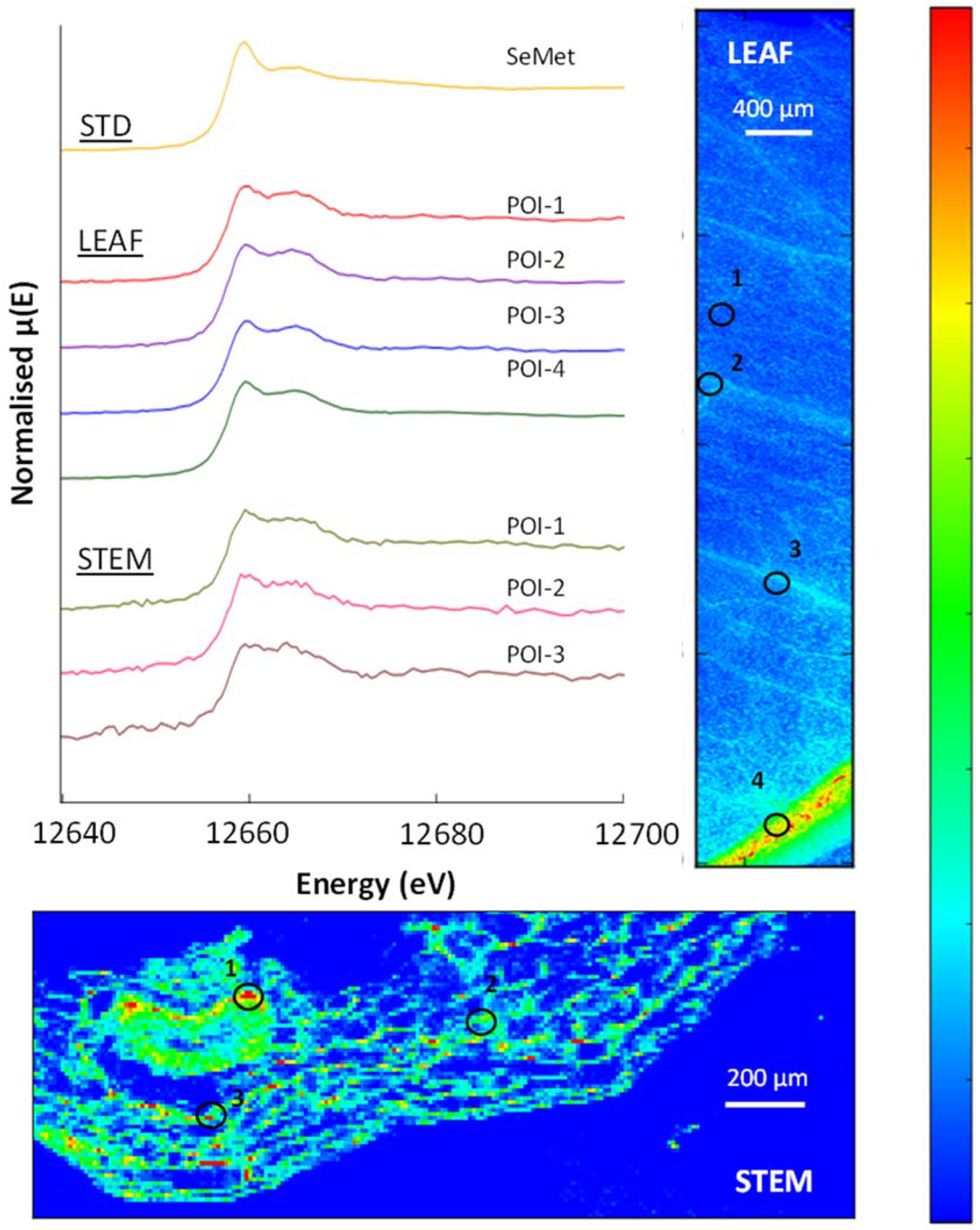 Soilsystems 07 00024 g008 Soilsystems 07 00024 g008