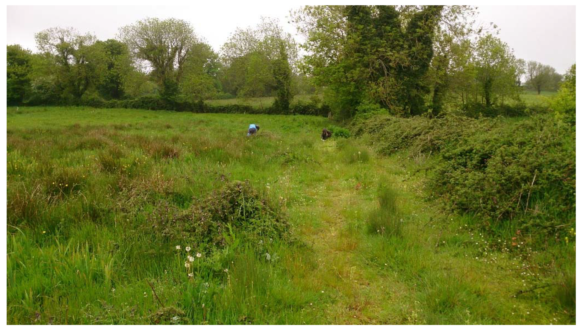 Soilsystems 07 00024 g0a4 Soilsystems 07 00024 g0a4