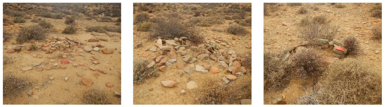 Soilsystems 07 00025 g010