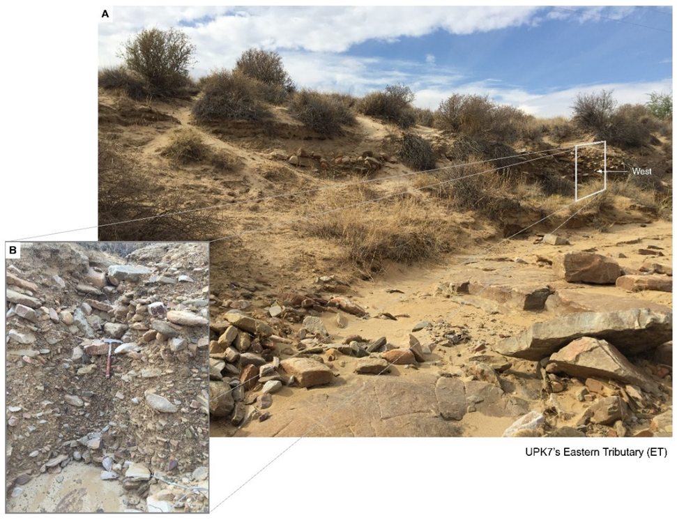 Soilsystems 07 00025 g011