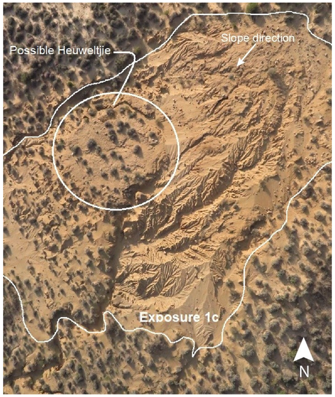 Soilsystems 07 00025 g012