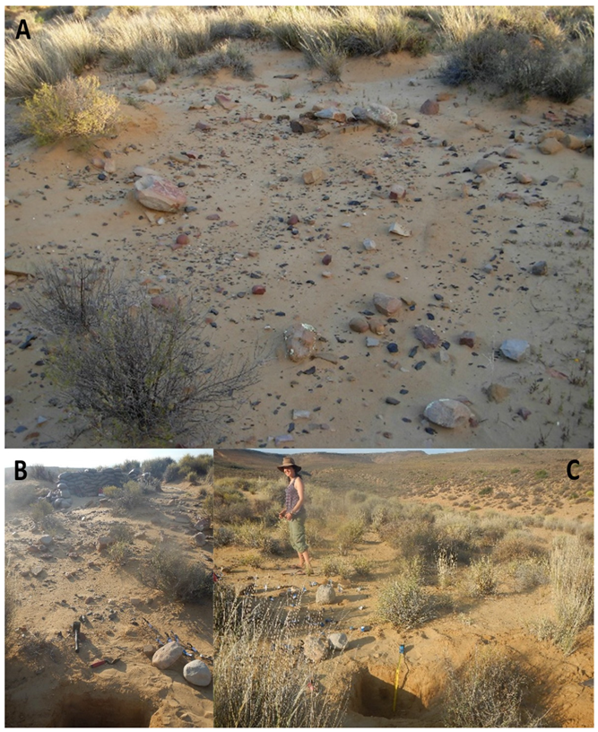 Soilsystems 07 00025 g016