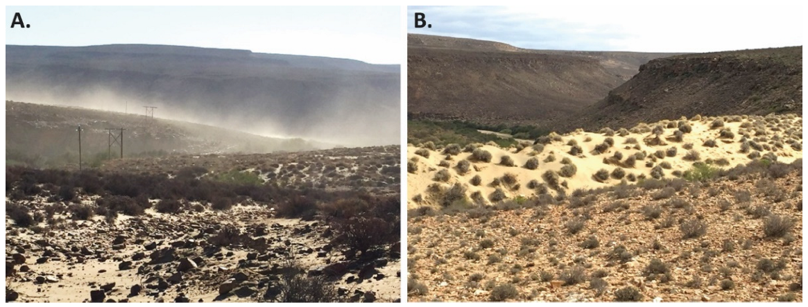 Soilsystems 07 00025 g022