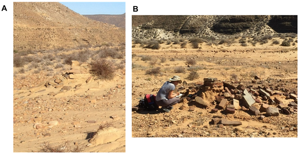 Soilsystems 07 00025 g023