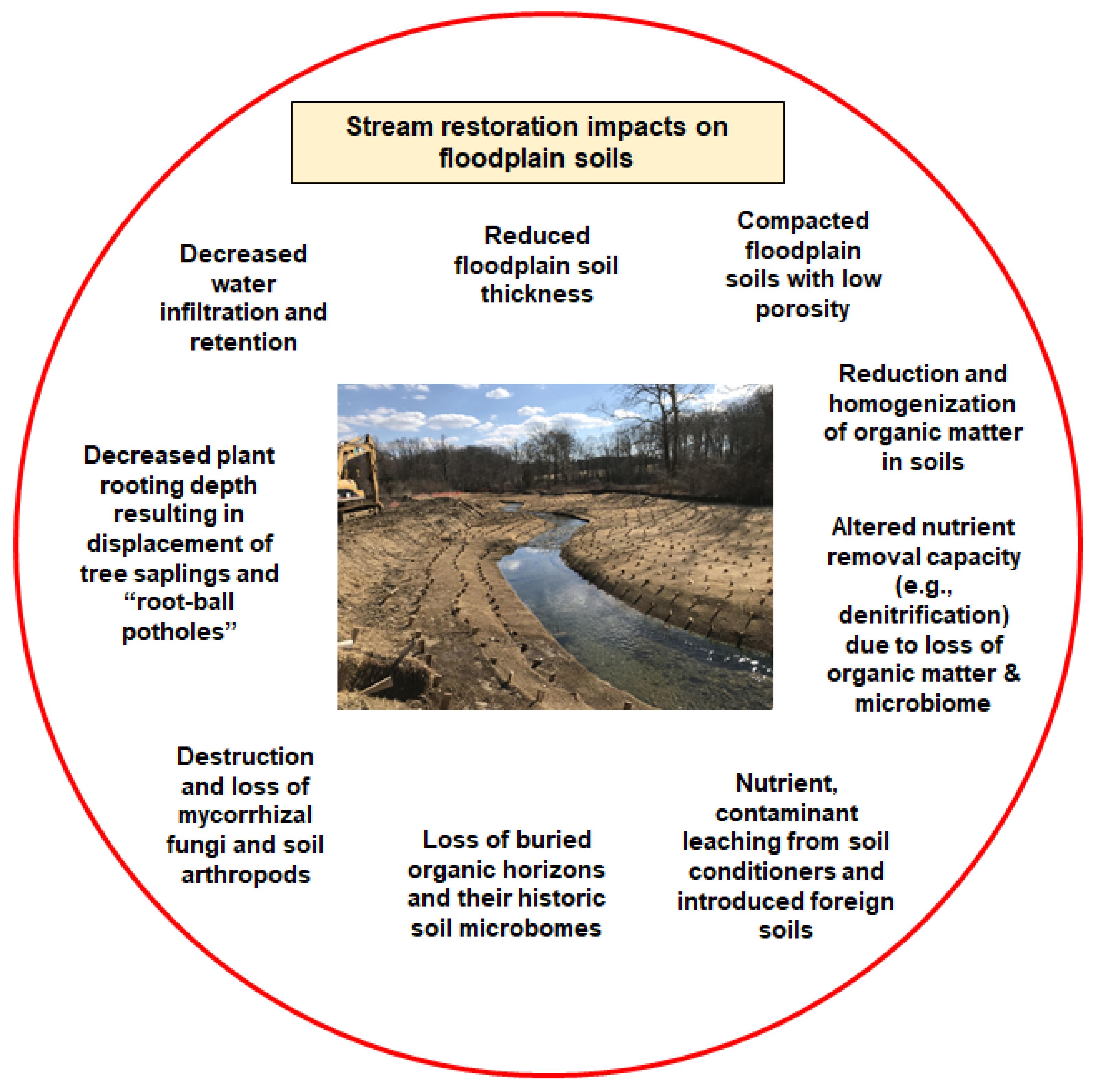 Soil Systems Free Full-Text More Than Dirt Soil Health Needs to Be Emphasized in Stream and Floodplain Restorations