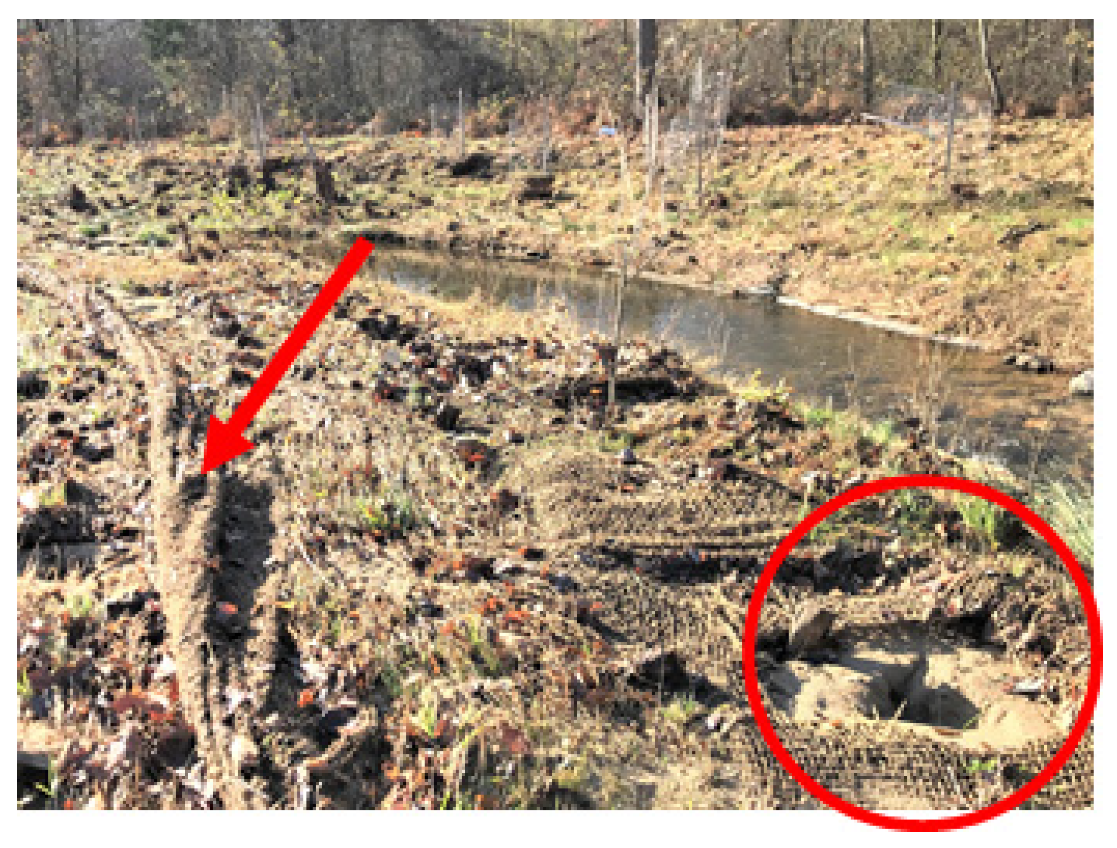 Soilsystems 07 00036 g002 Soilsystems 07 00036 g002