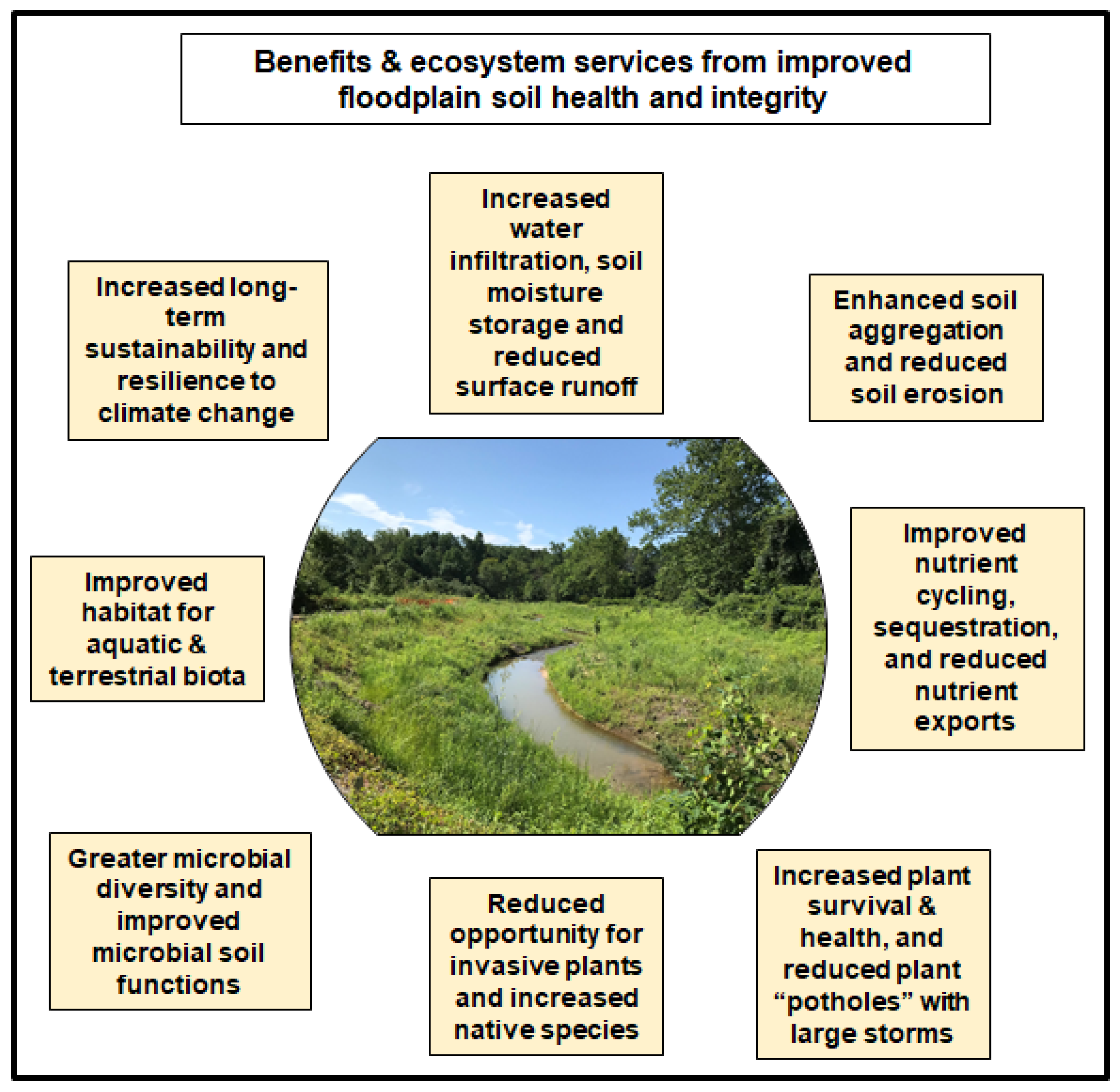 Soilsystems 07 00036 g004 Soilsystems 07 00036 g004