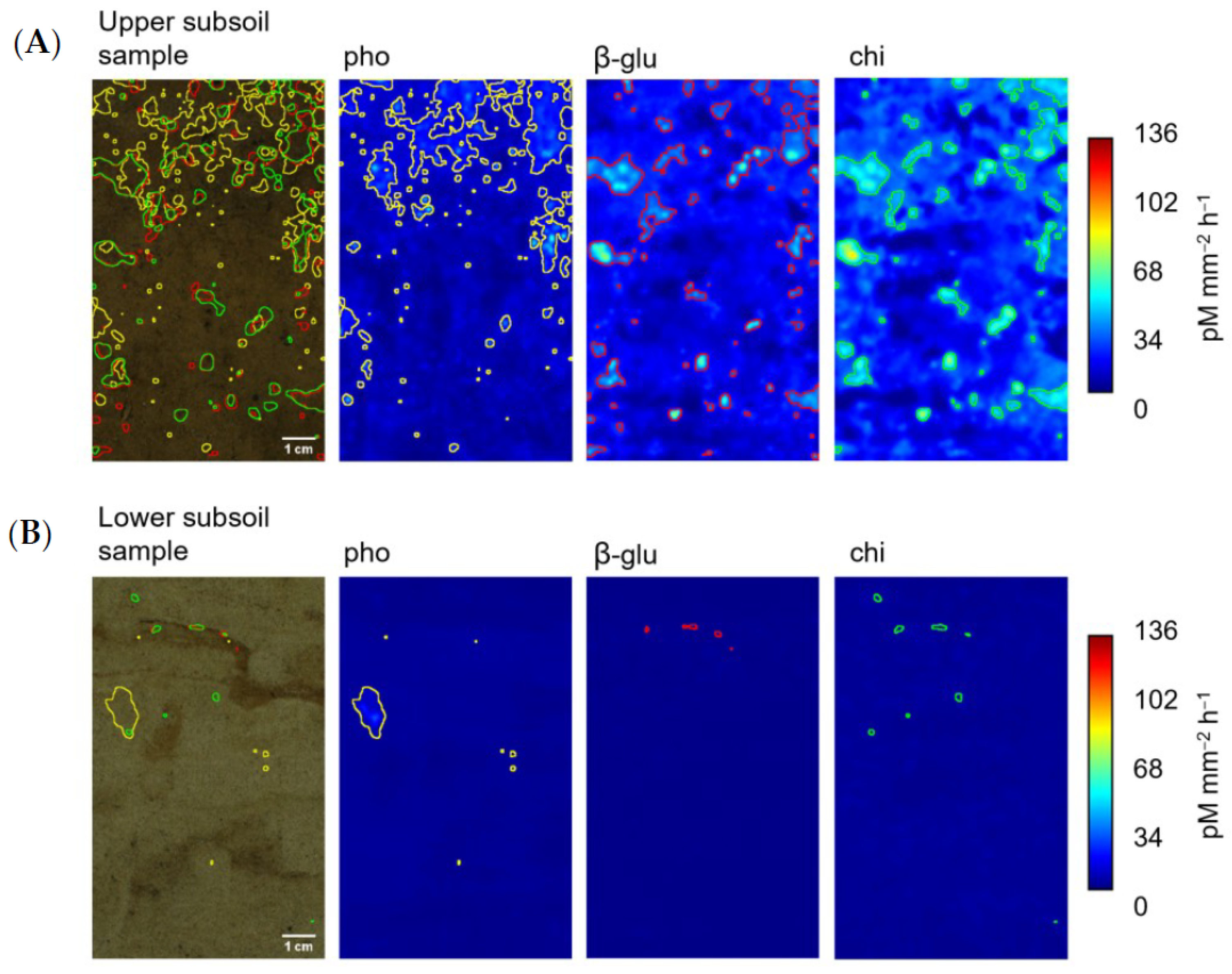 Soilsystems 07 00057 g001 Soilsystems 07 00057 g001
