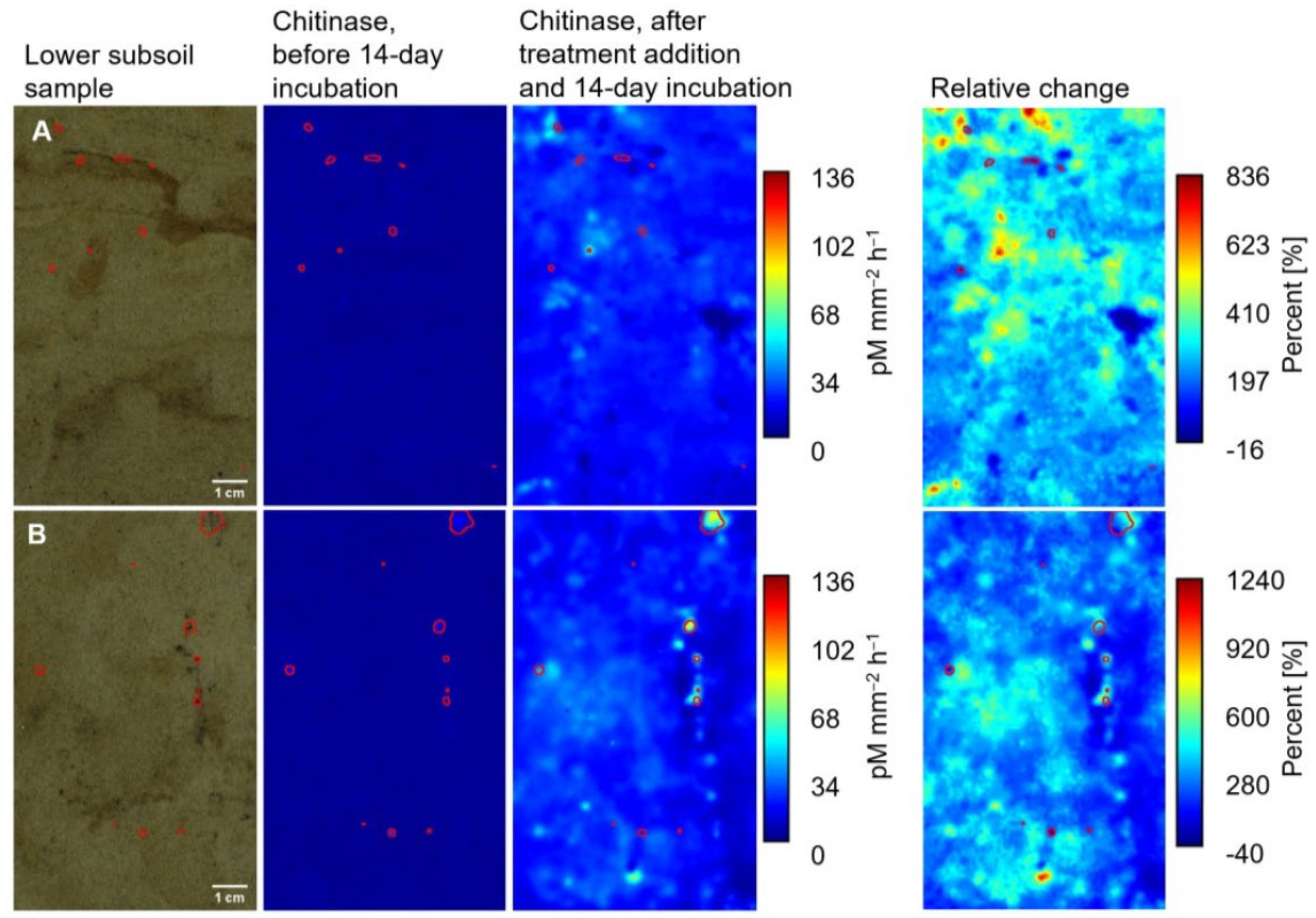 Soilsystems 07 00057 g003 Soilsystems 07 00057 g003