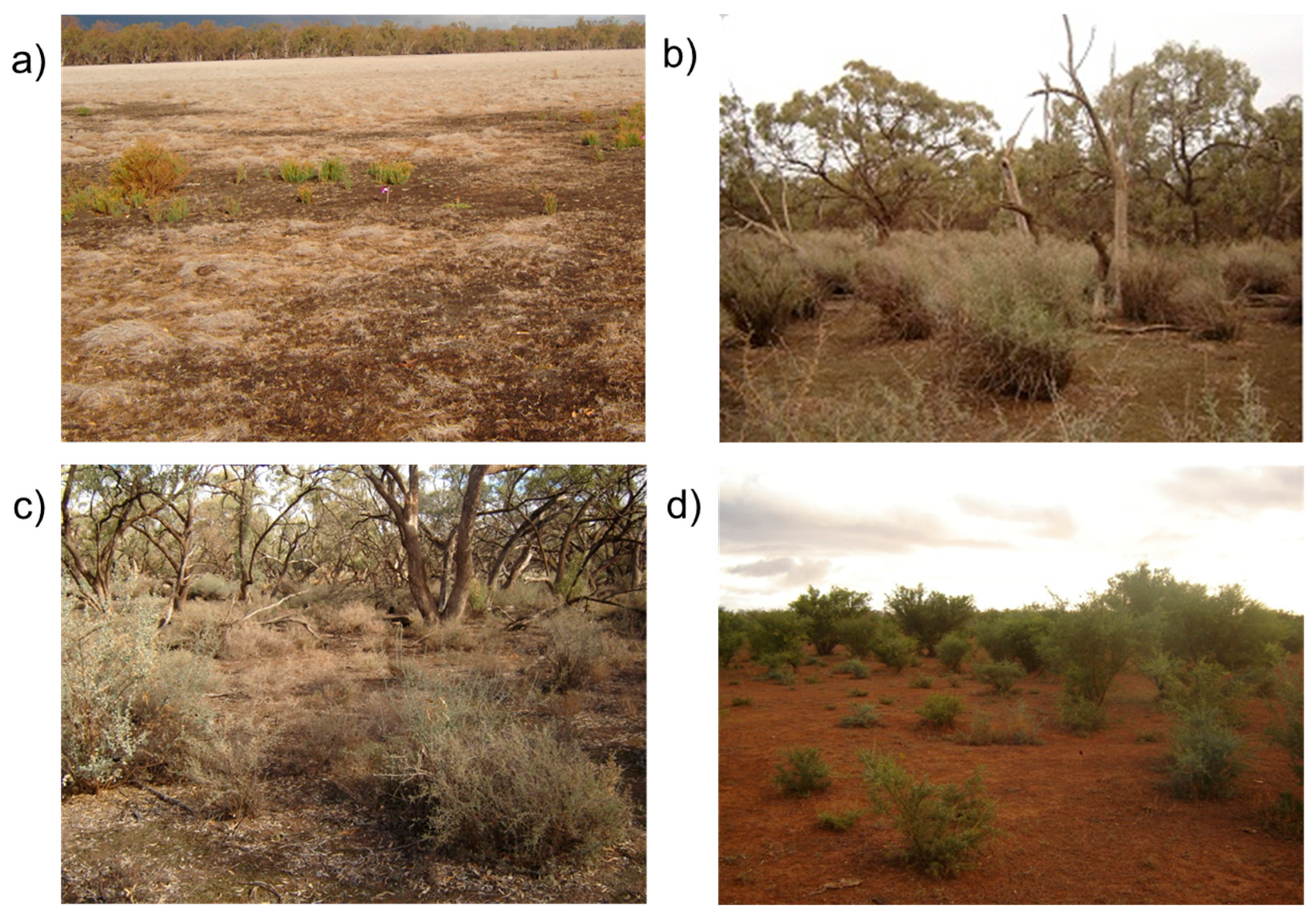 Soilsystems 07 00063 g003 Soilsystems 07 00063 g003