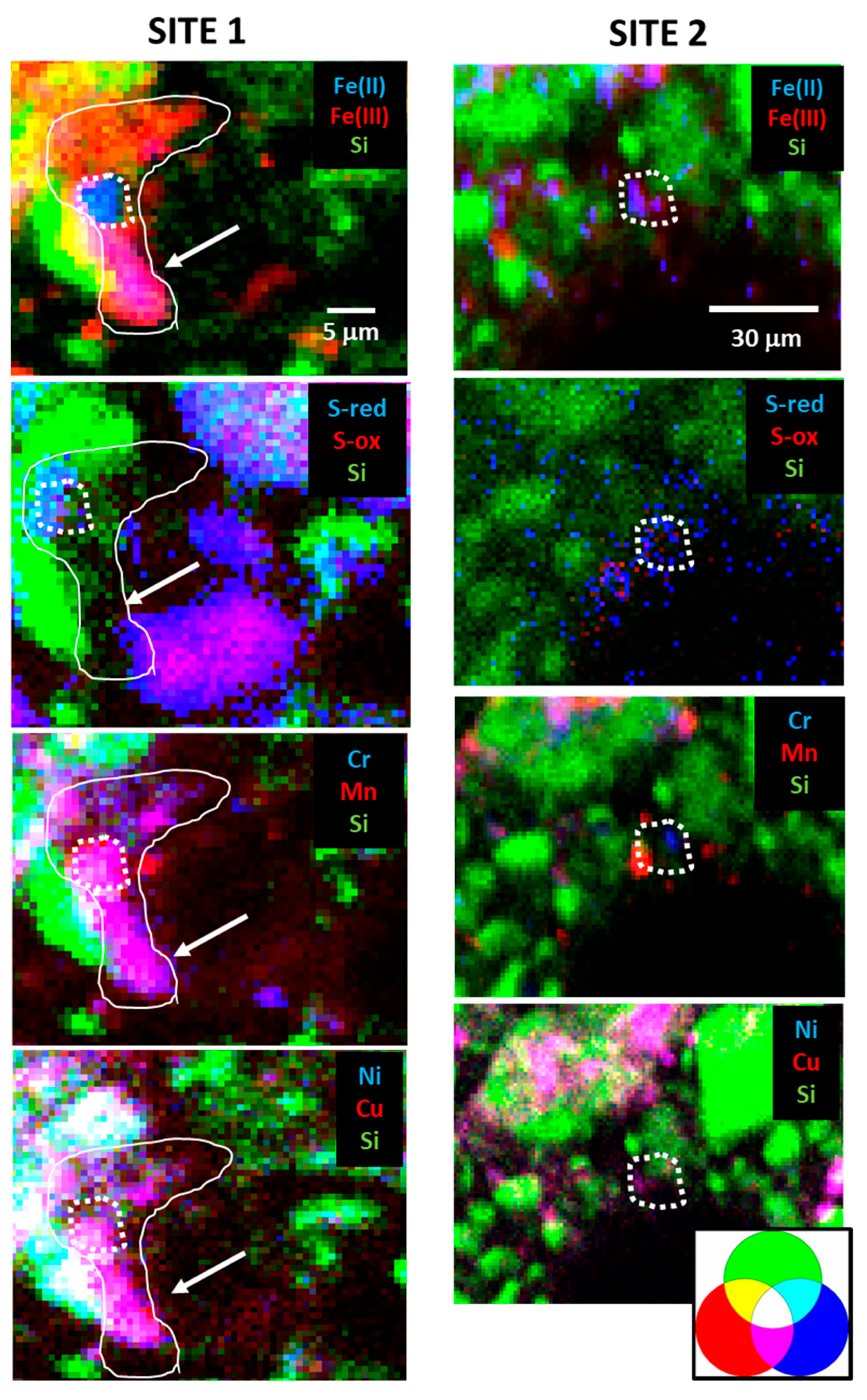 Soilsystems 08 00002 g003 Soilsystems 08 00002 g003