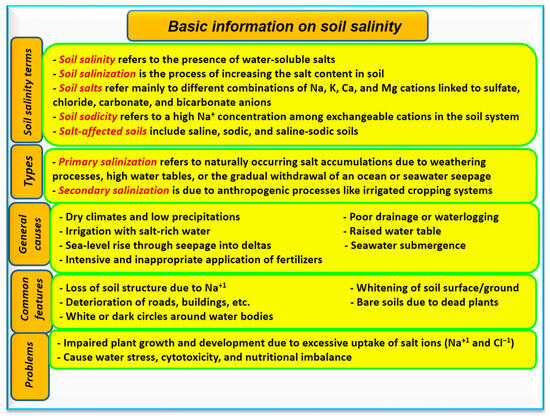 Review of Crop Response to Soil Salinity Stress: Possible