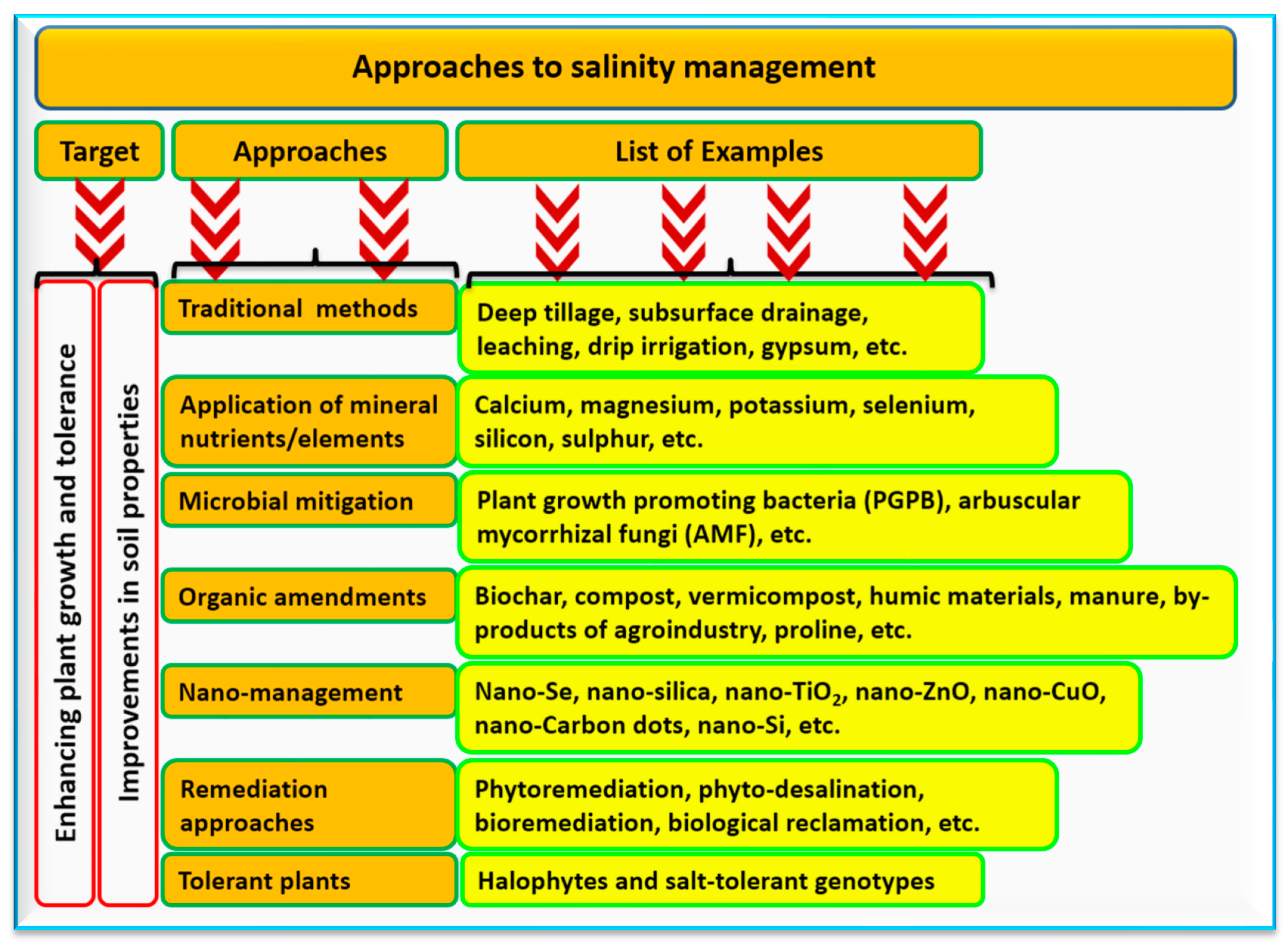 Soilsystems 08 00011 g006