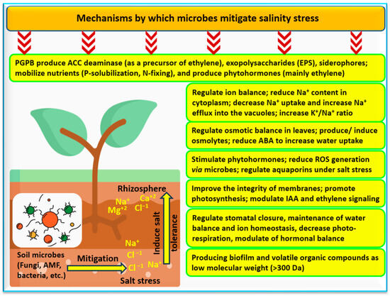Review of Crop Response to Soil Salinity Stress: Possible Approaches ...
